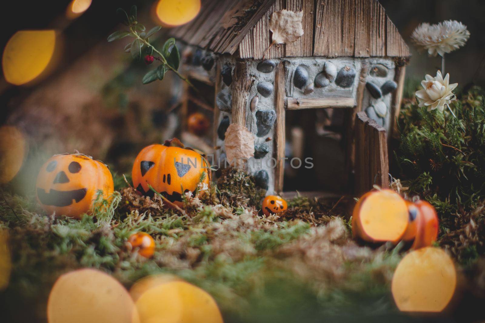 Pretty domestic mice on Haloween costume party with pupmpkins