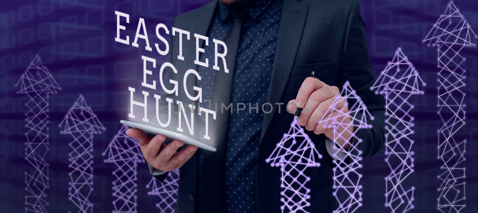 Text sign showing Easter Egg Hunt, Business approach Searching special season treats presents spring tradition