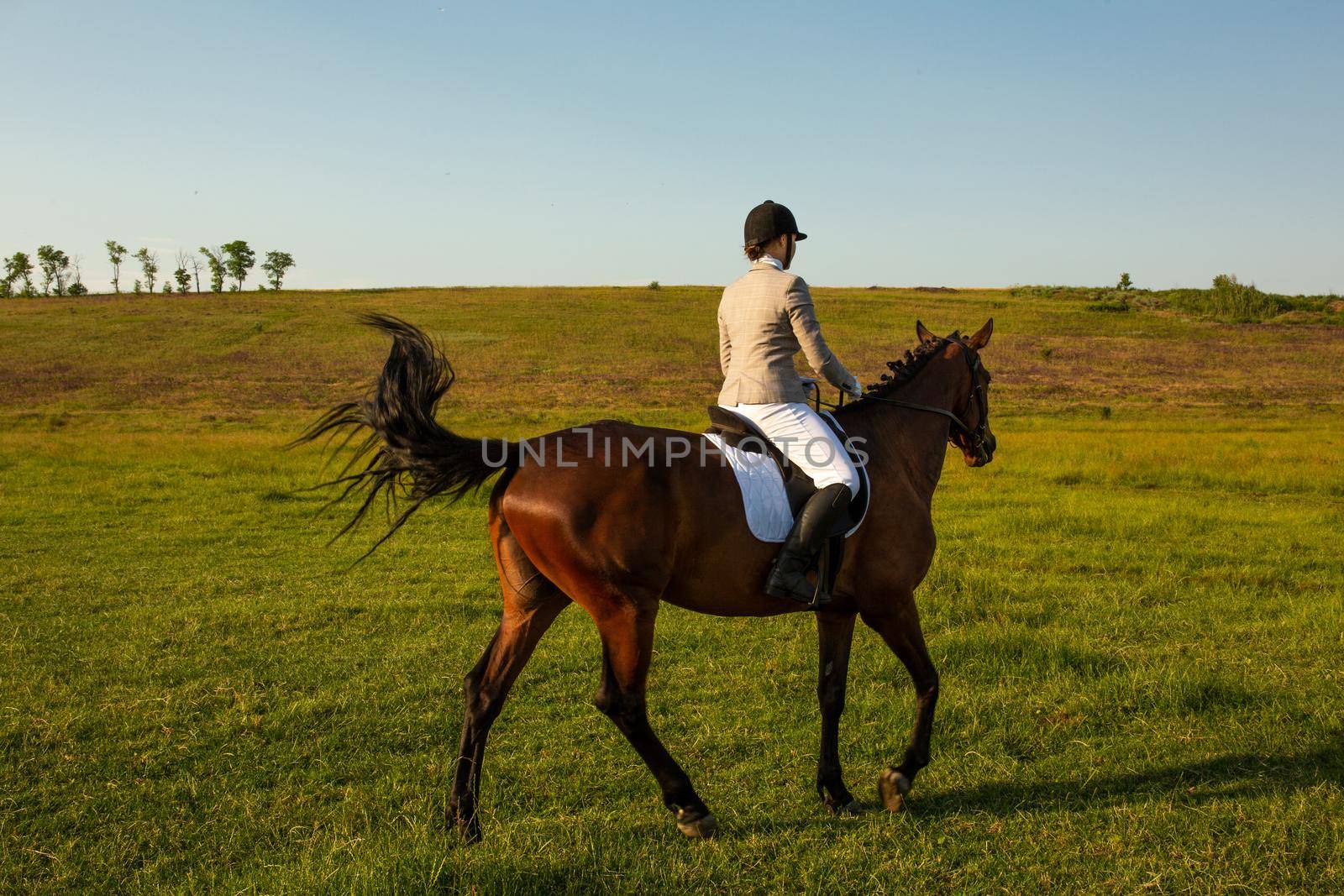 Young woman riding a horse on the green field. Horseback Riding. Competition. Hobby