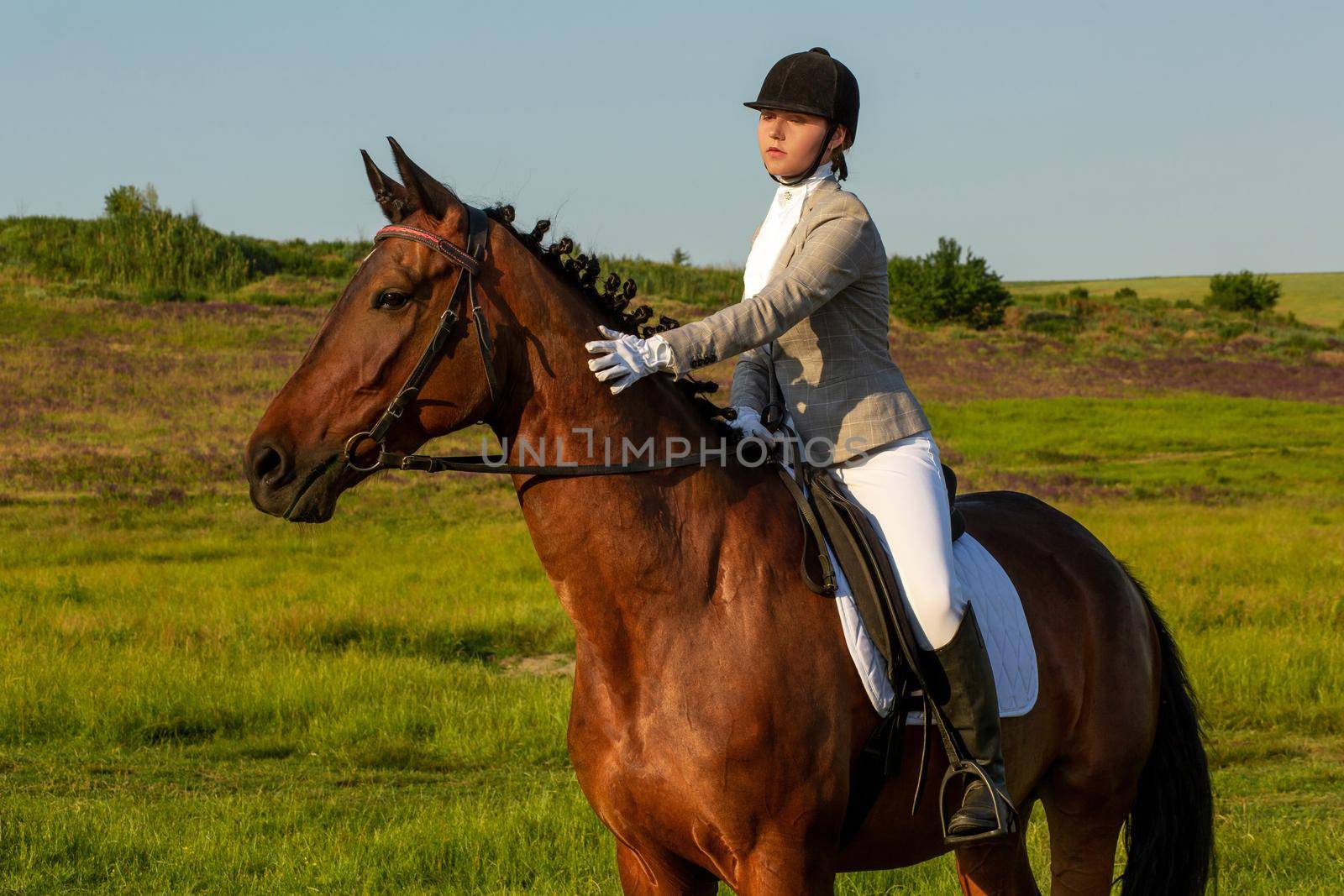 Young woman riding a horse on the green field. Horseback Riding. Competition. Hobby