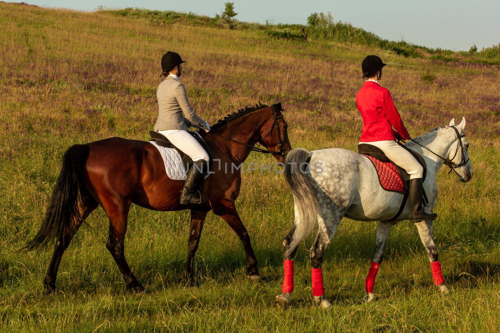 Two young women riding horse in park. Horse walk in summer. Outdoor photography in lifestyle mood