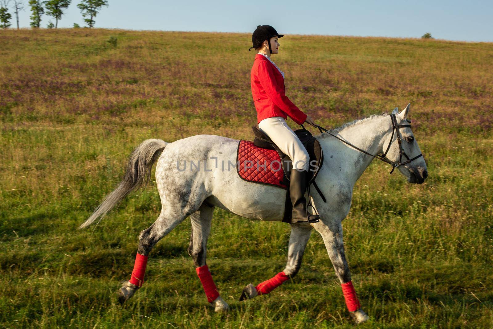 The sportswoman on a horse. The horsewoman on a red horse. Equestrianism. Horse riding. racing. Rider on a horse.