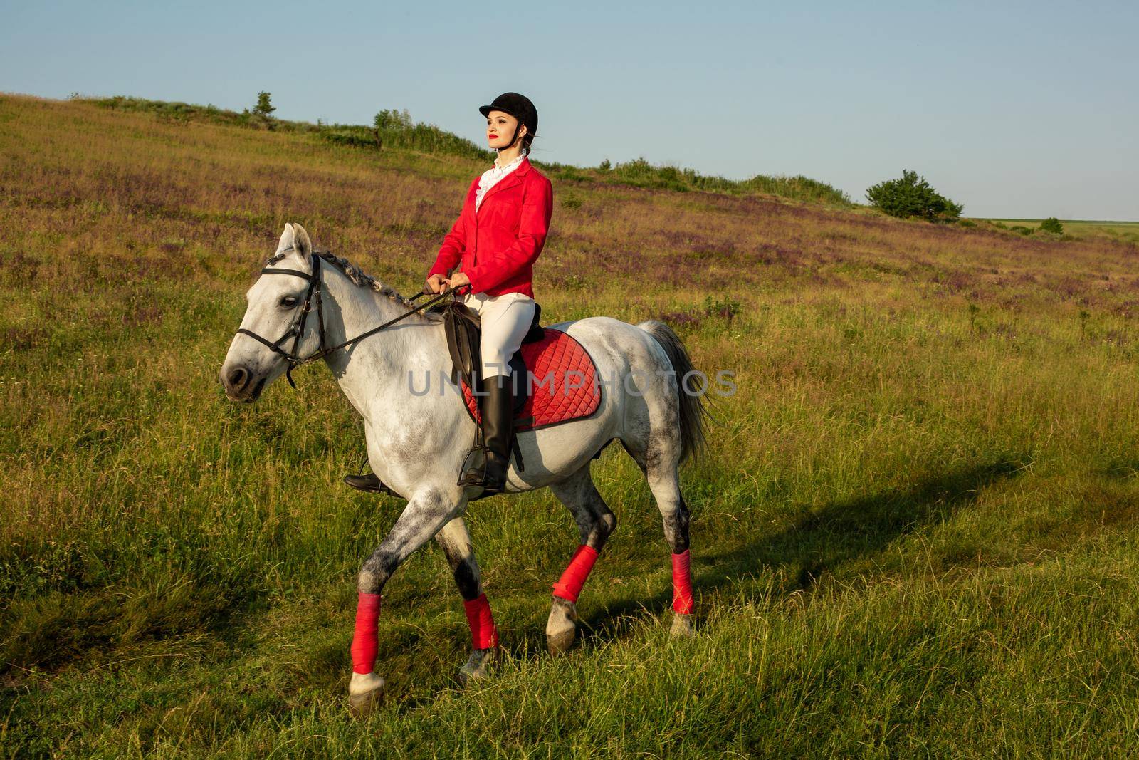 The sportswoman on a horse. The horsewoman on a red horse. Equestrianism. Horse riding. racing. Rider on a horse.