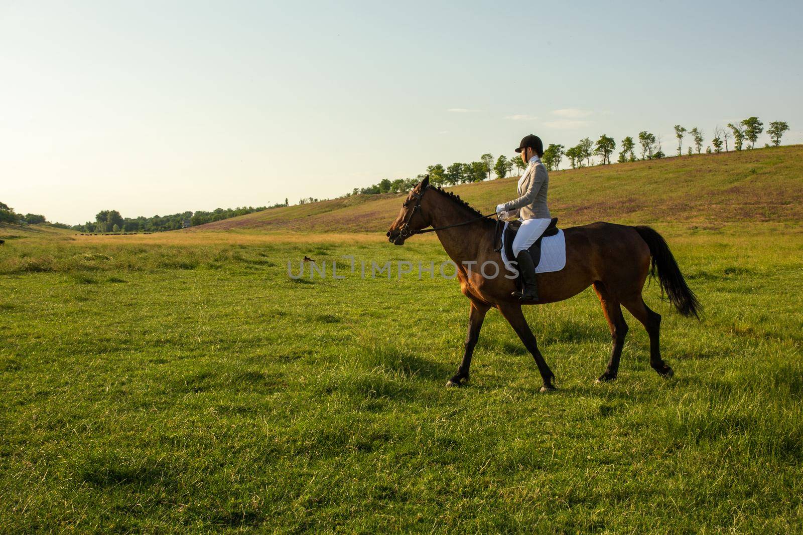 Young woman riding a horse on the green field. Horseback Riding. Competition. Hobby