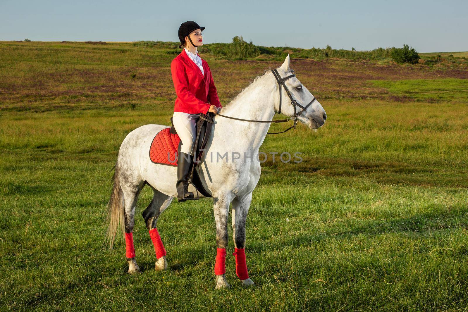 Young woman rider, wearing red redingote and white breeches, with her horse in evening sunset light. Outdoor photography in lifestyle mood