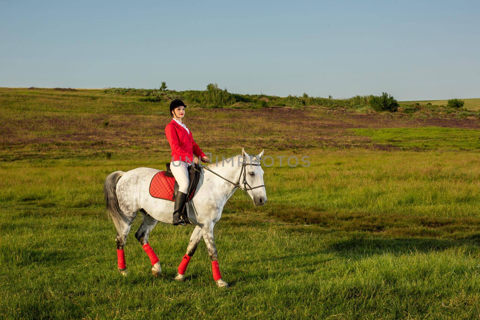 Young woman rider, wearing red redingote and white breeches, with her horse in evening sunset light. Outdoor photography in lifestyle mood