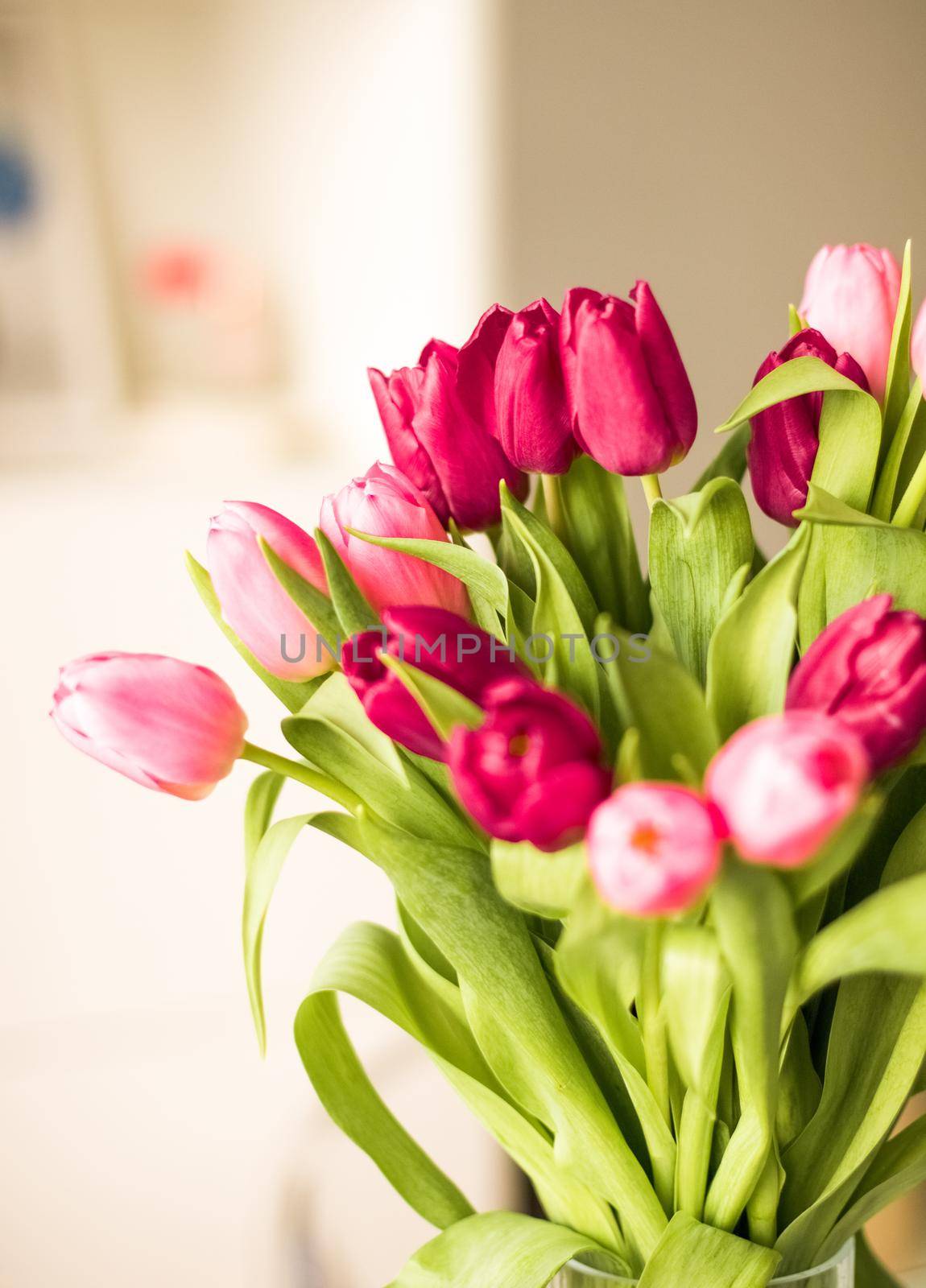 Bouquet of beautiful tulips, floral background by Anneleven