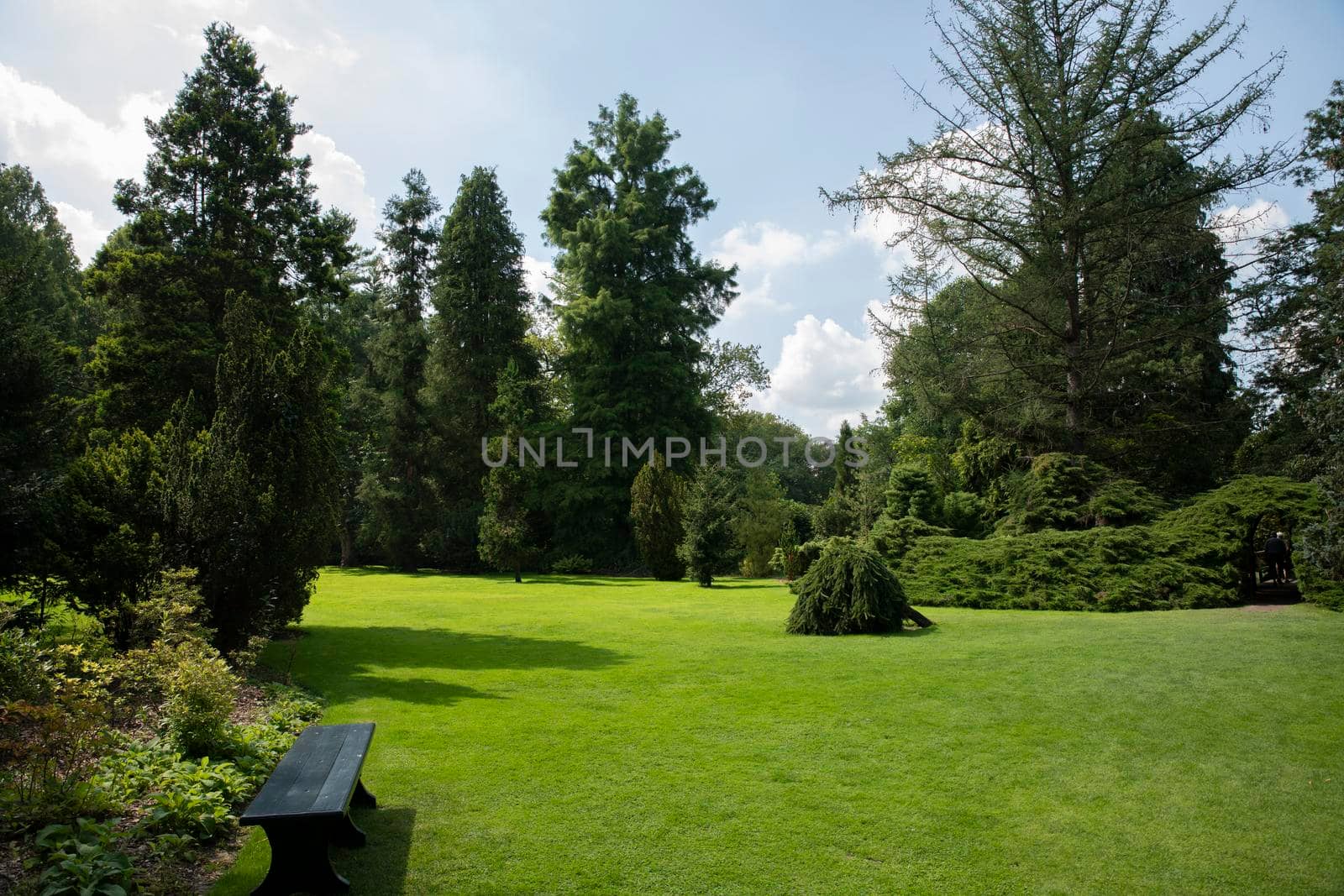 big landscape garden with big grass field and trees with bench to rest