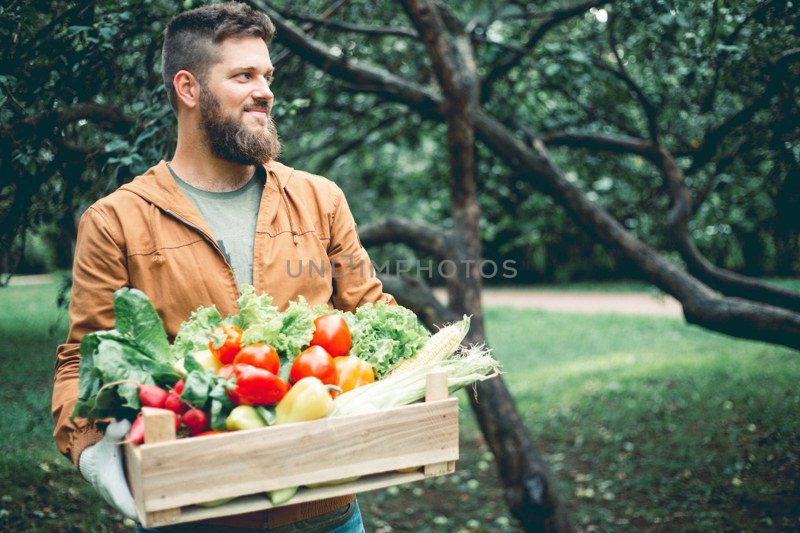 Farmer with box of vegetables by destillat