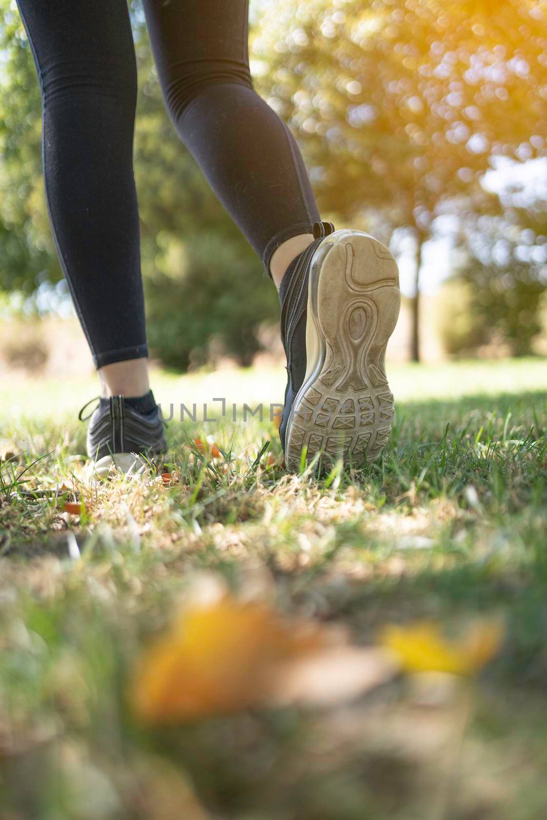 Runner feet running in park. woman.fitness training body wellness concept. by barcielaphoto