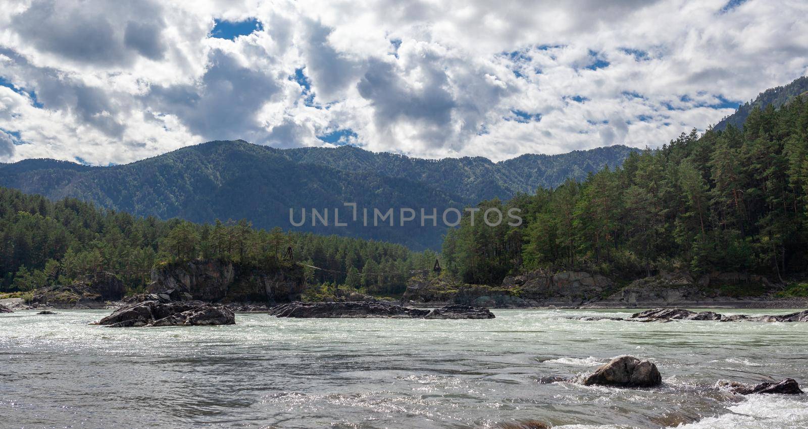 A fast-flowing wide and full-flowing mountain river. Large rocks stick out of the water. Big mountain river Katun, turquoise color, in the Altai Mountains, Altai Republic.