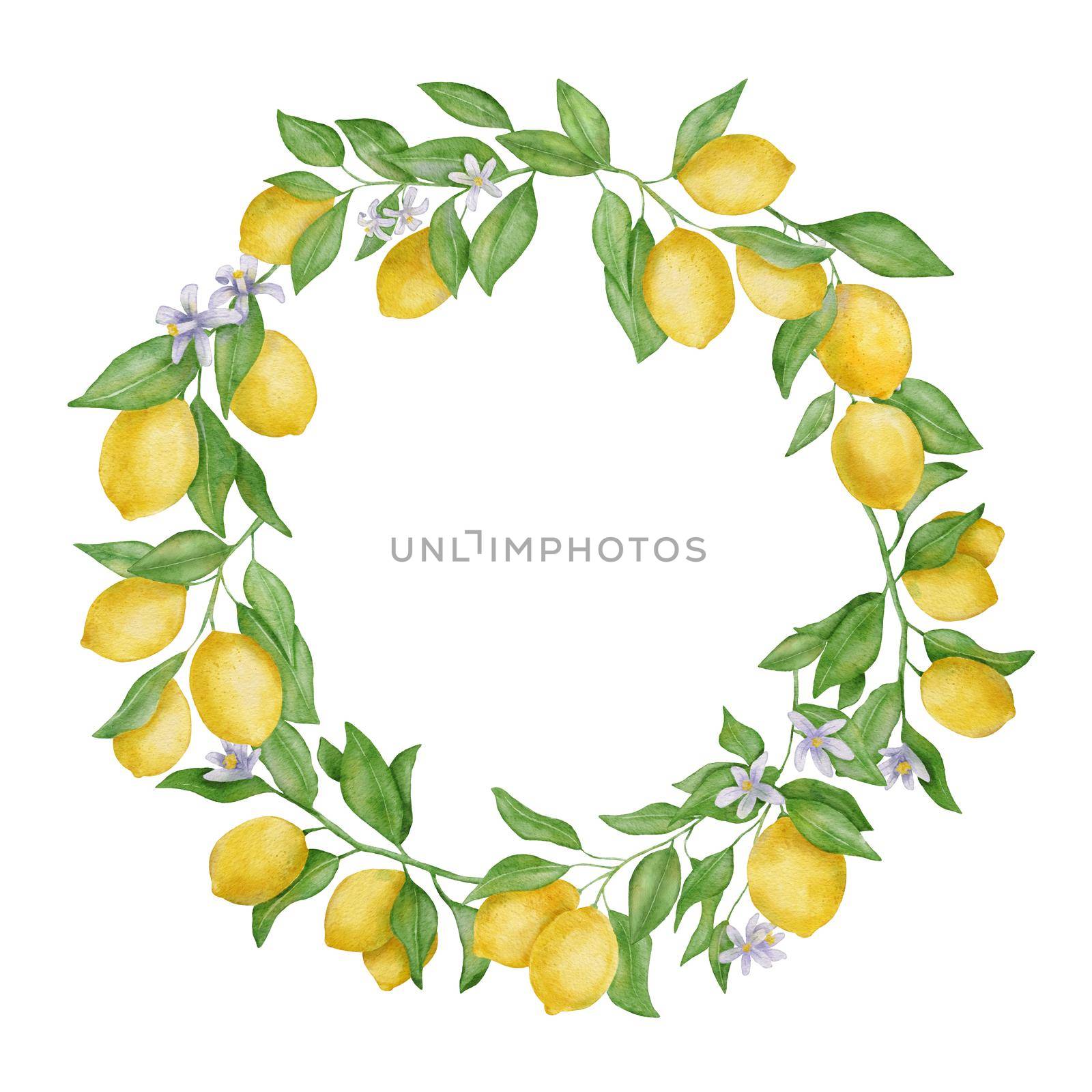 Lemon fruits with leaves and flower watercolor round wreath. Hand draw botanical frame isolated on white.