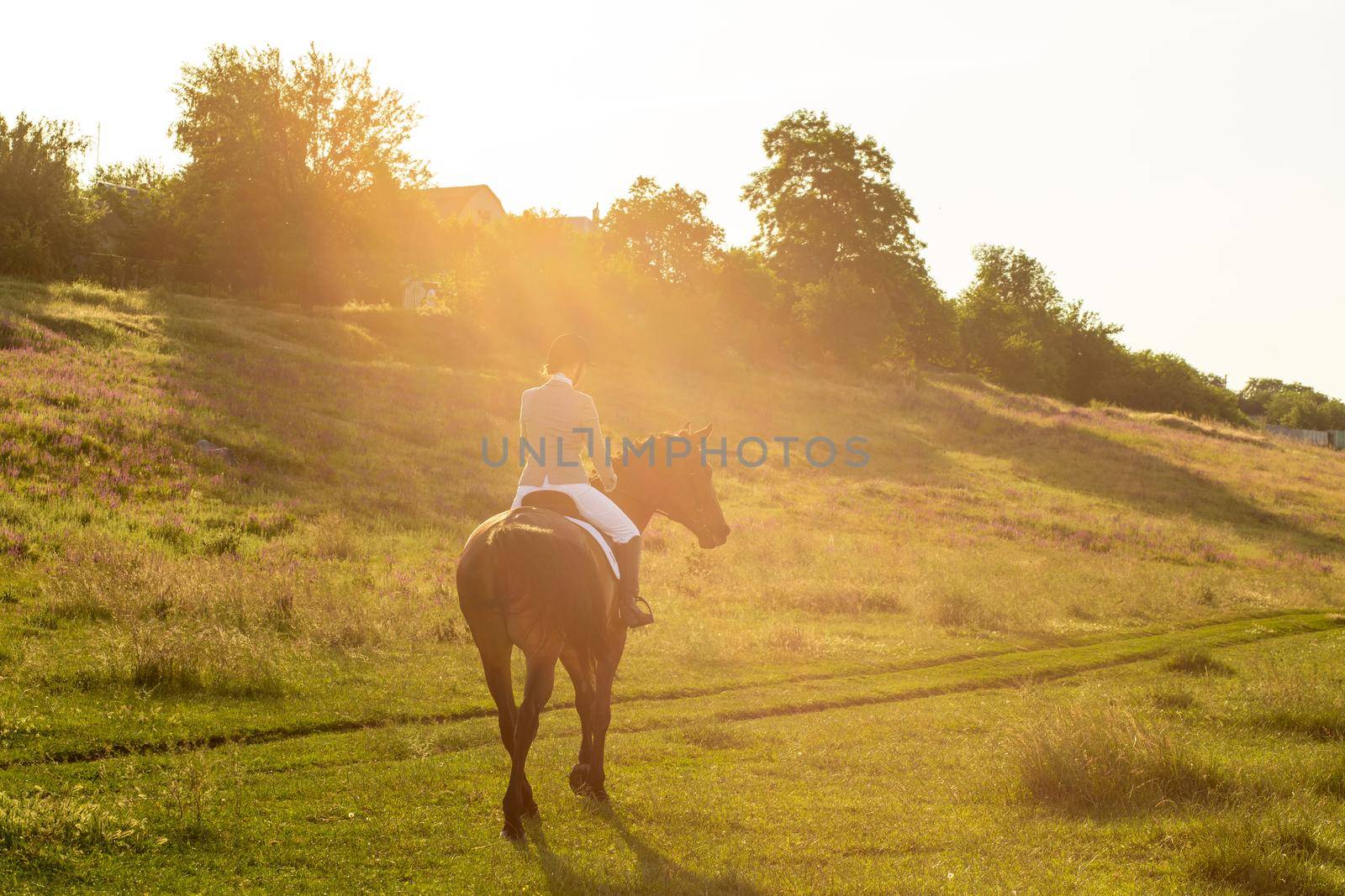 Young woman riding a horse on the green field. Sun flare by nazarovsergey