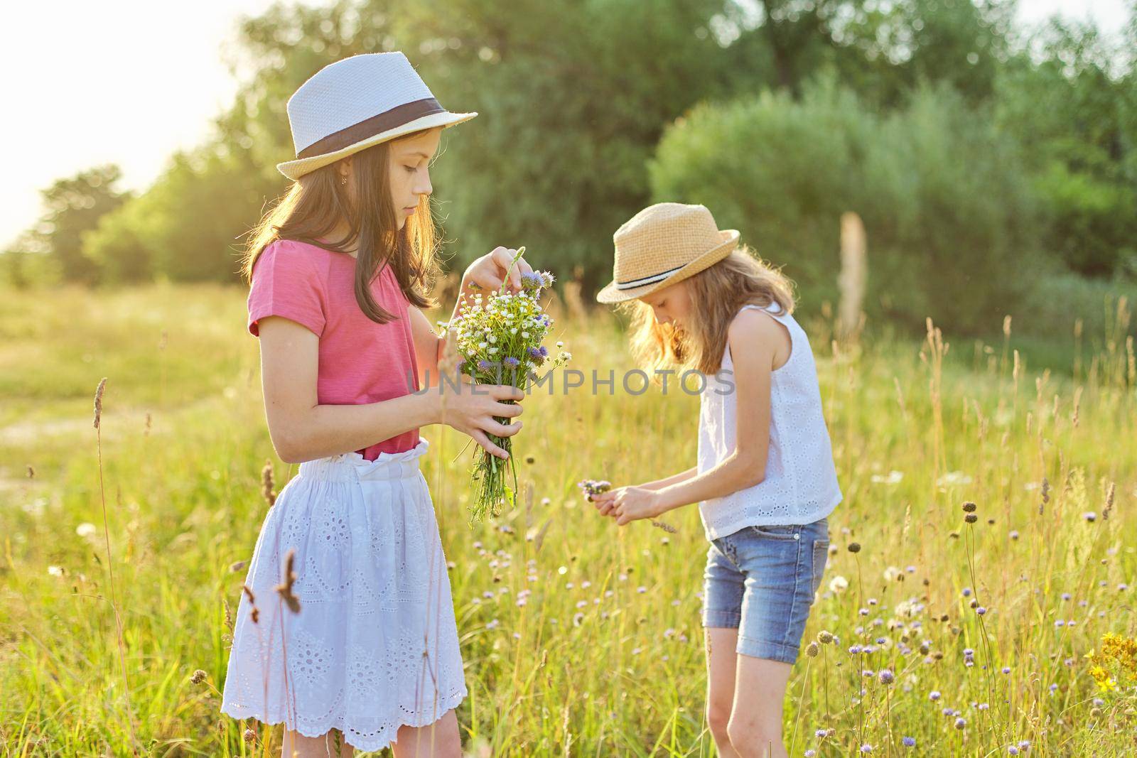 Two beautiful pretty girls kids tearing wildflowers walking in sunny meadow, picturesque landscape, golden hour. Childhood, summer, nature, beauty, children concept