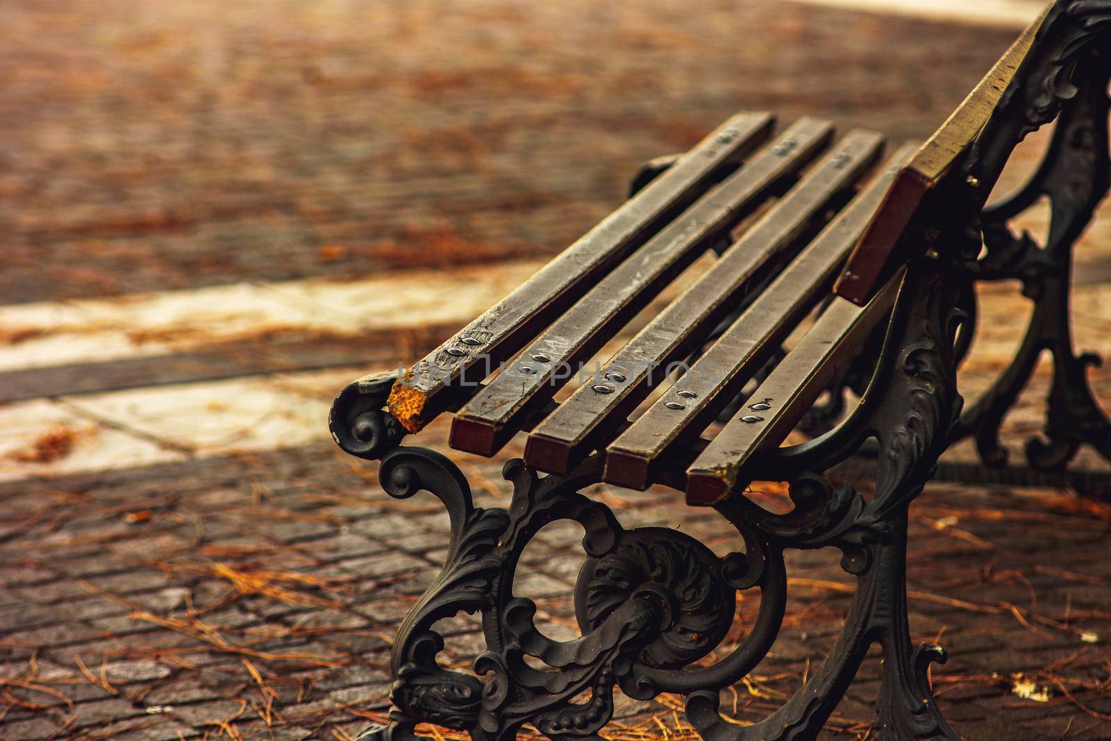 Empty of public park with wooden bench by pippocarlot