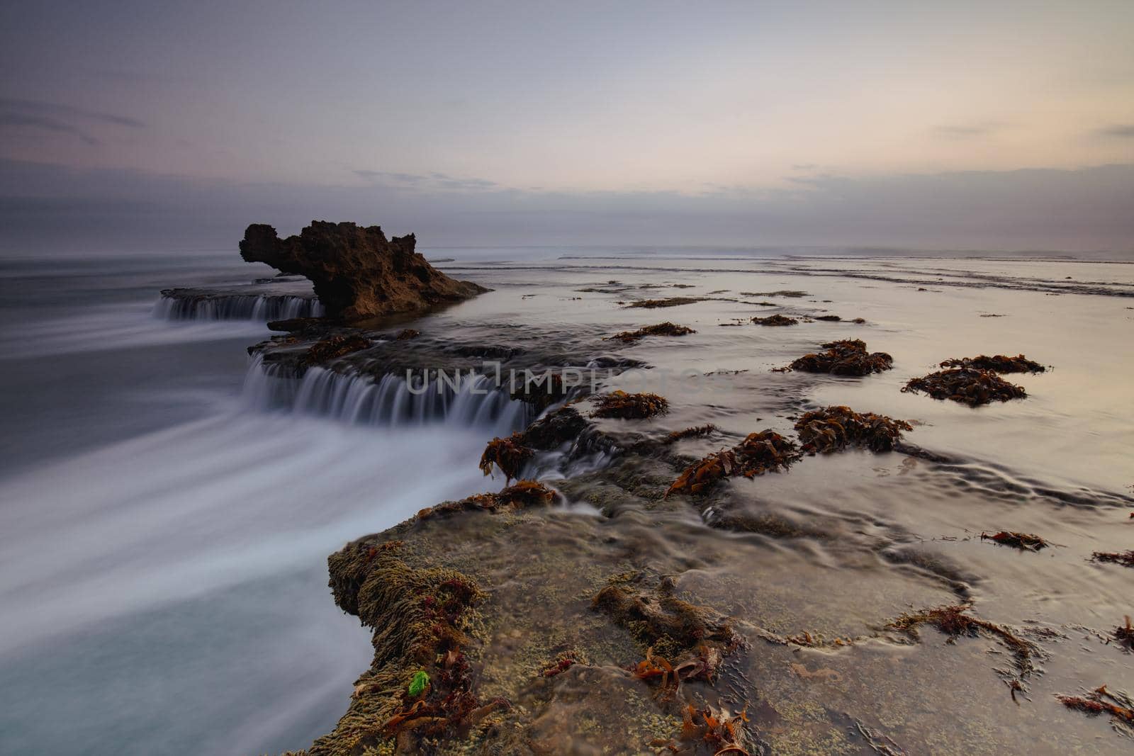 Dragon Head Rock on Mornington Peninsula Australia by FiledIMAGE