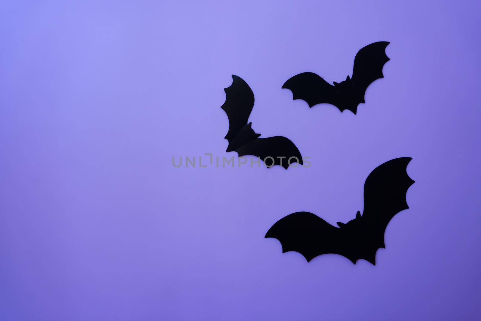 Bats and mockups on a purple background by Spirina