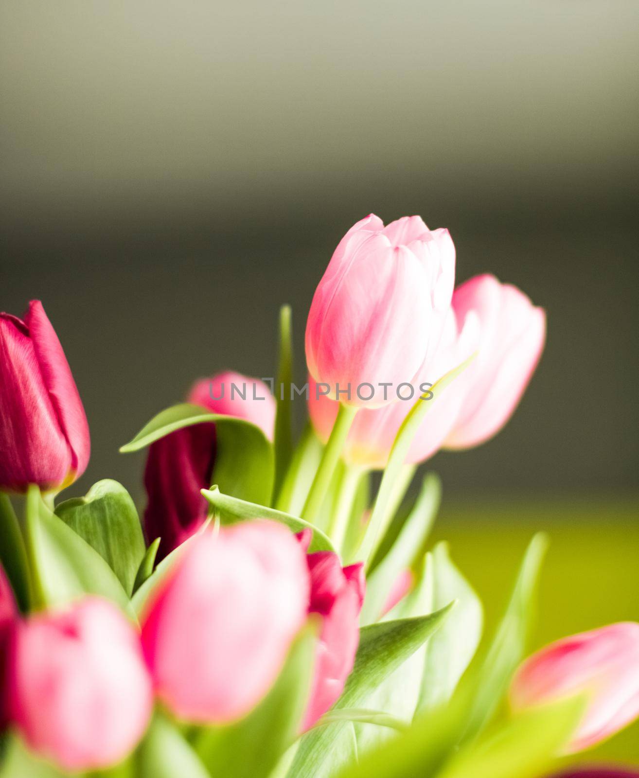 Flowers, spring holidays and home decor concept - Bouquet of beautiful tulips, floral background