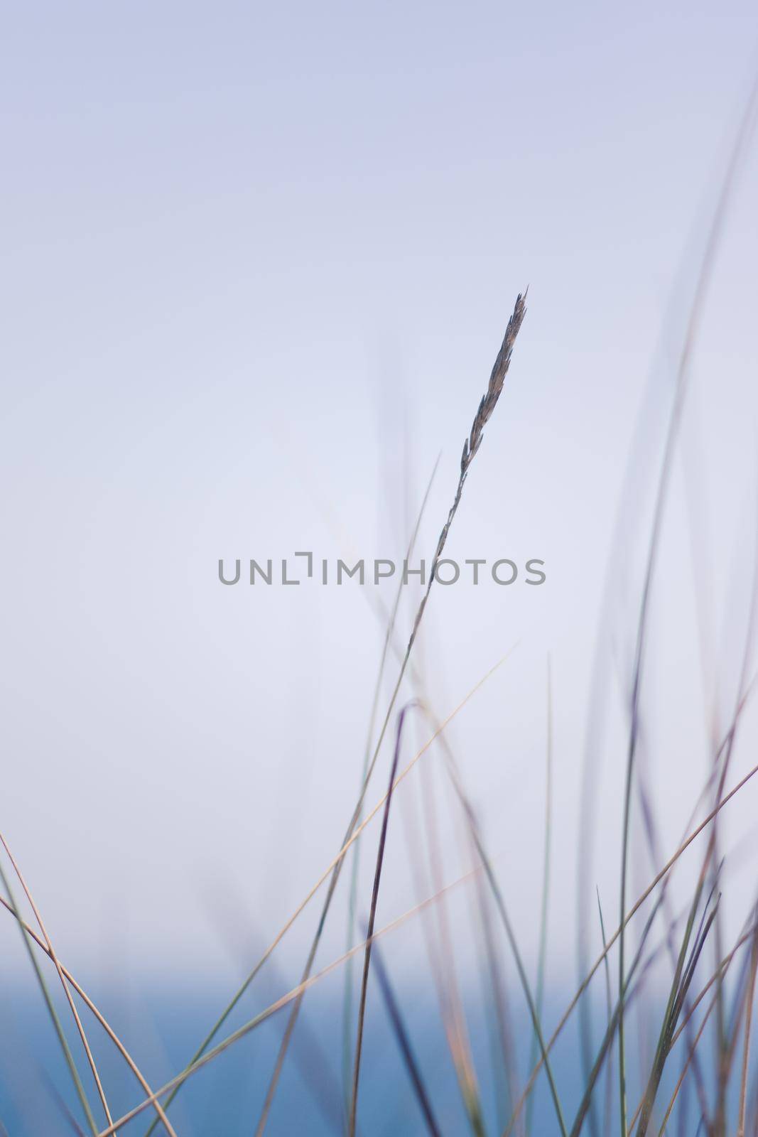 Nature background, environmental and agriculture concept - Rural field, a day in countryside