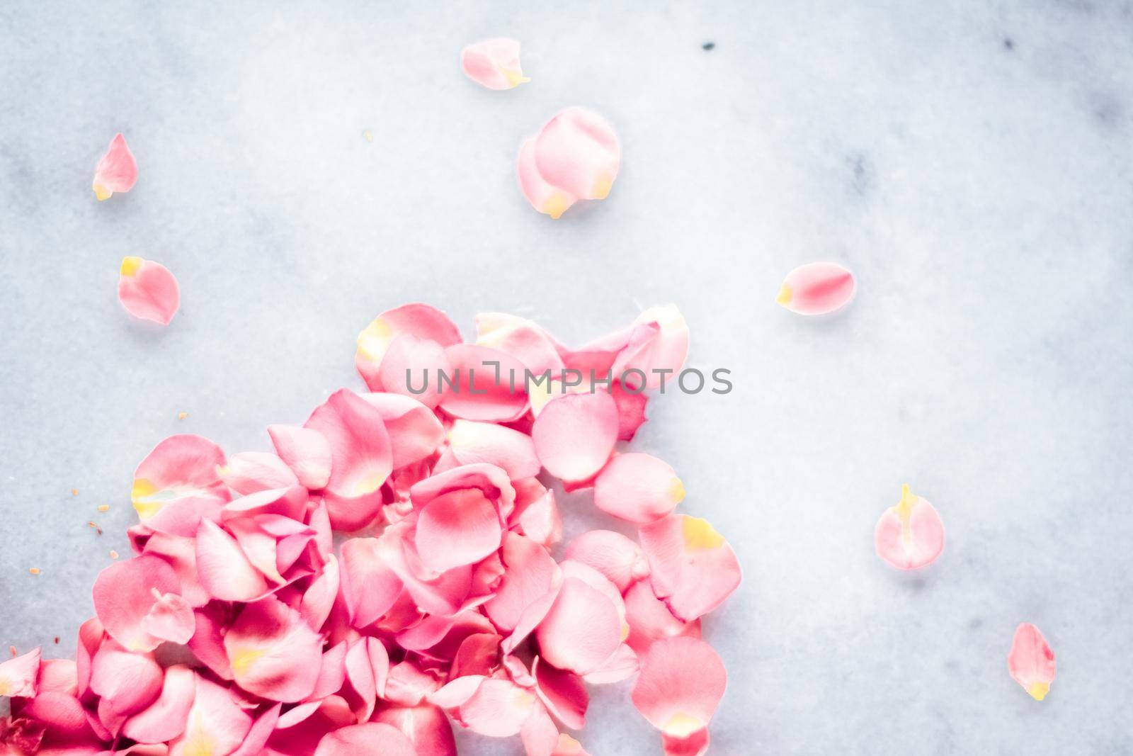 Art of flowers, wedding invitation and nature beauty concept - Rose petals on marble stone, floral background