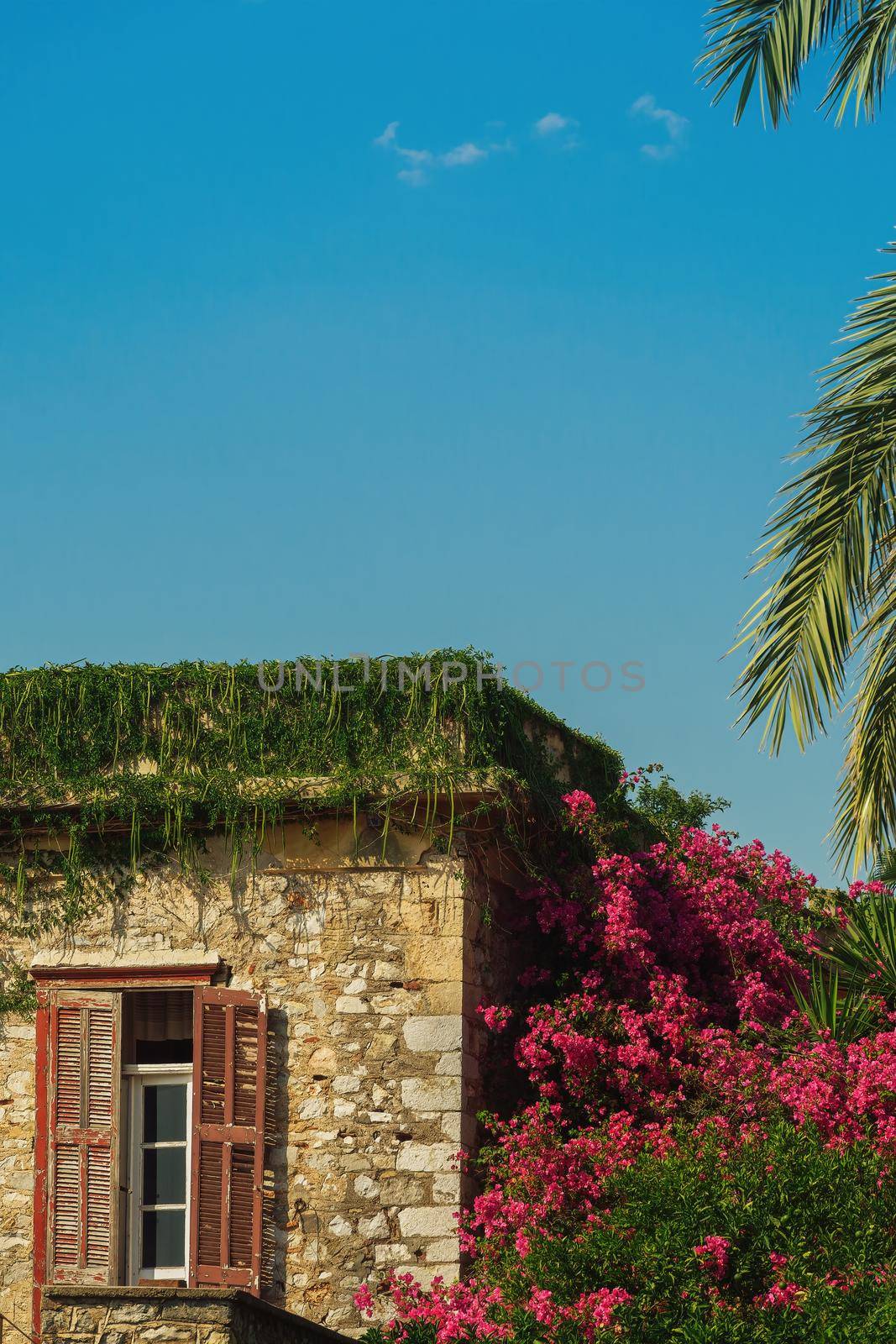 Stone built old house detail with decayed wooden window shutters and blossomed bougainvillea to the side, against blue sky.