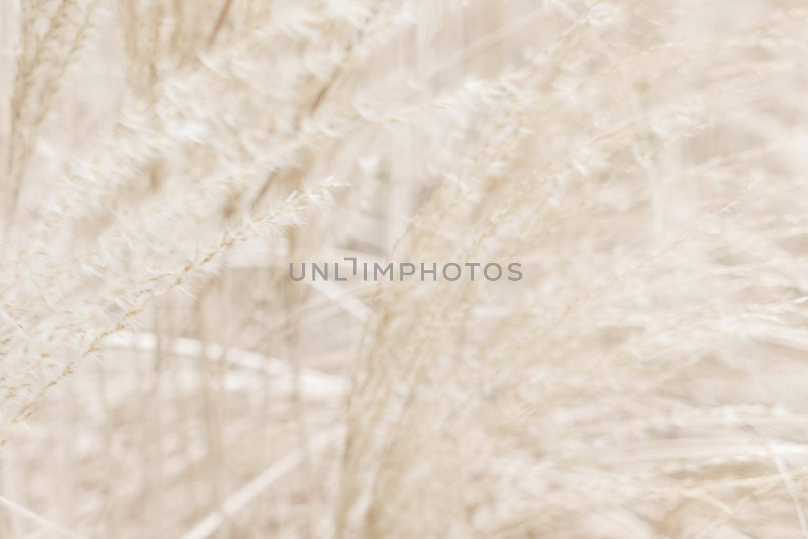 Beauty in nature, balanced lifestyle, environmental concept - Rustic autumn field