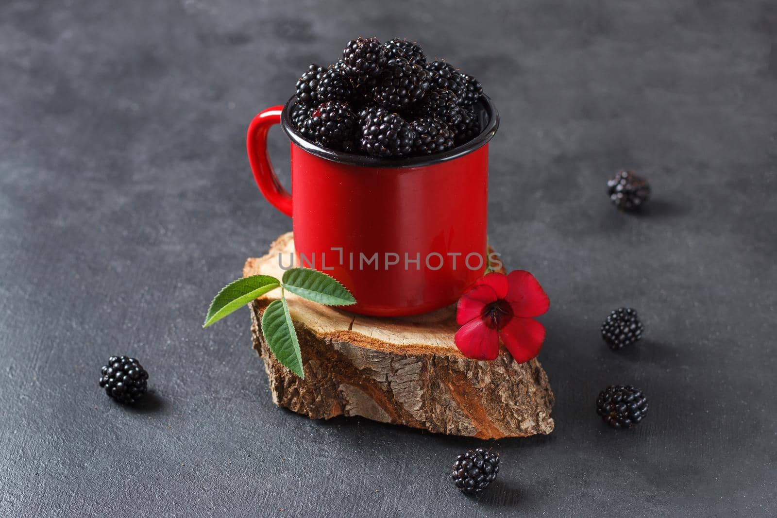 Fresh blackberry in a mug on a wooden stand on a black background with a flower. The concept of natural food. by lara29