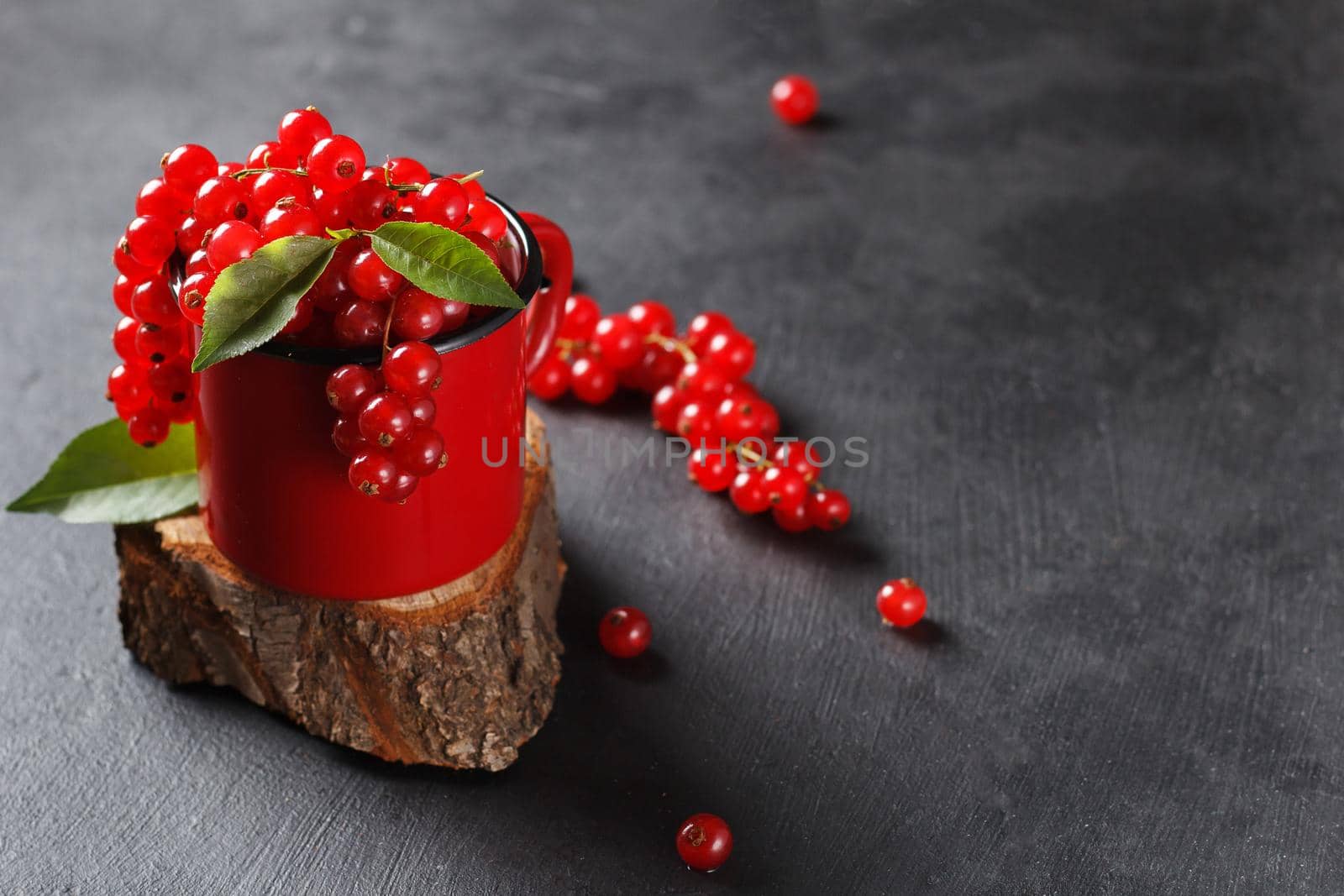 Red currant in a mug on a black background. copy space by lara29