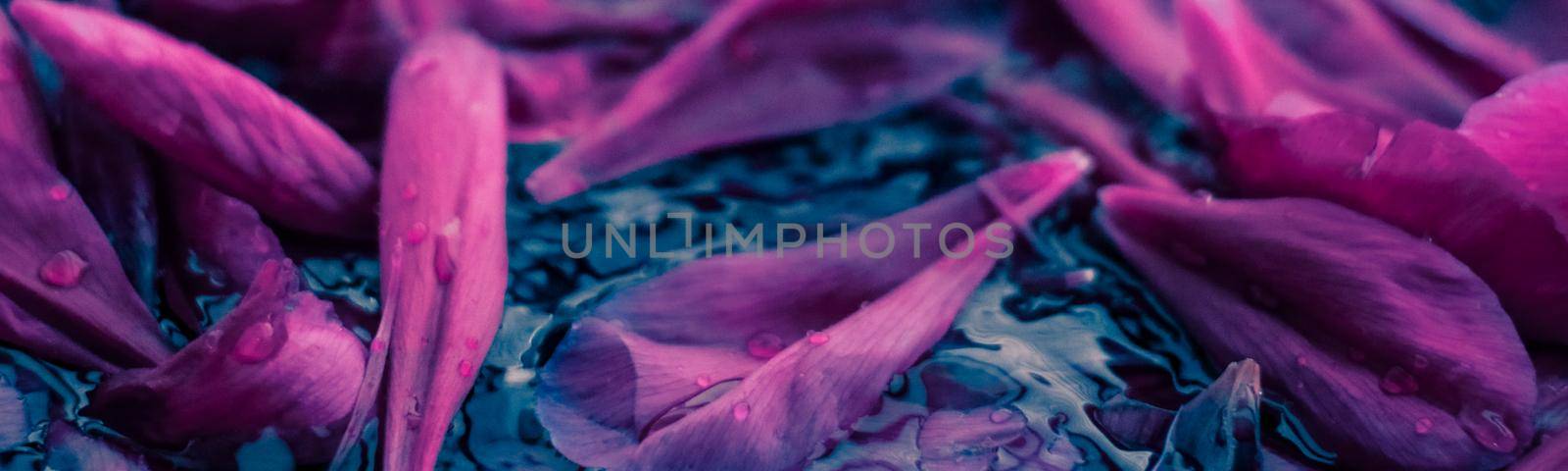 Beauty of nature, dream garden and wedding backdrop concept - Abstract floral background, purple flower petals in water