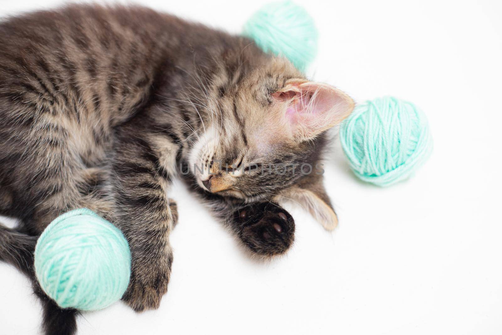 Striped cat with blue balls, skeins of thread on a white bed. An article about kittens. An article about pets. A curious little kitten sleeping over a white blanket