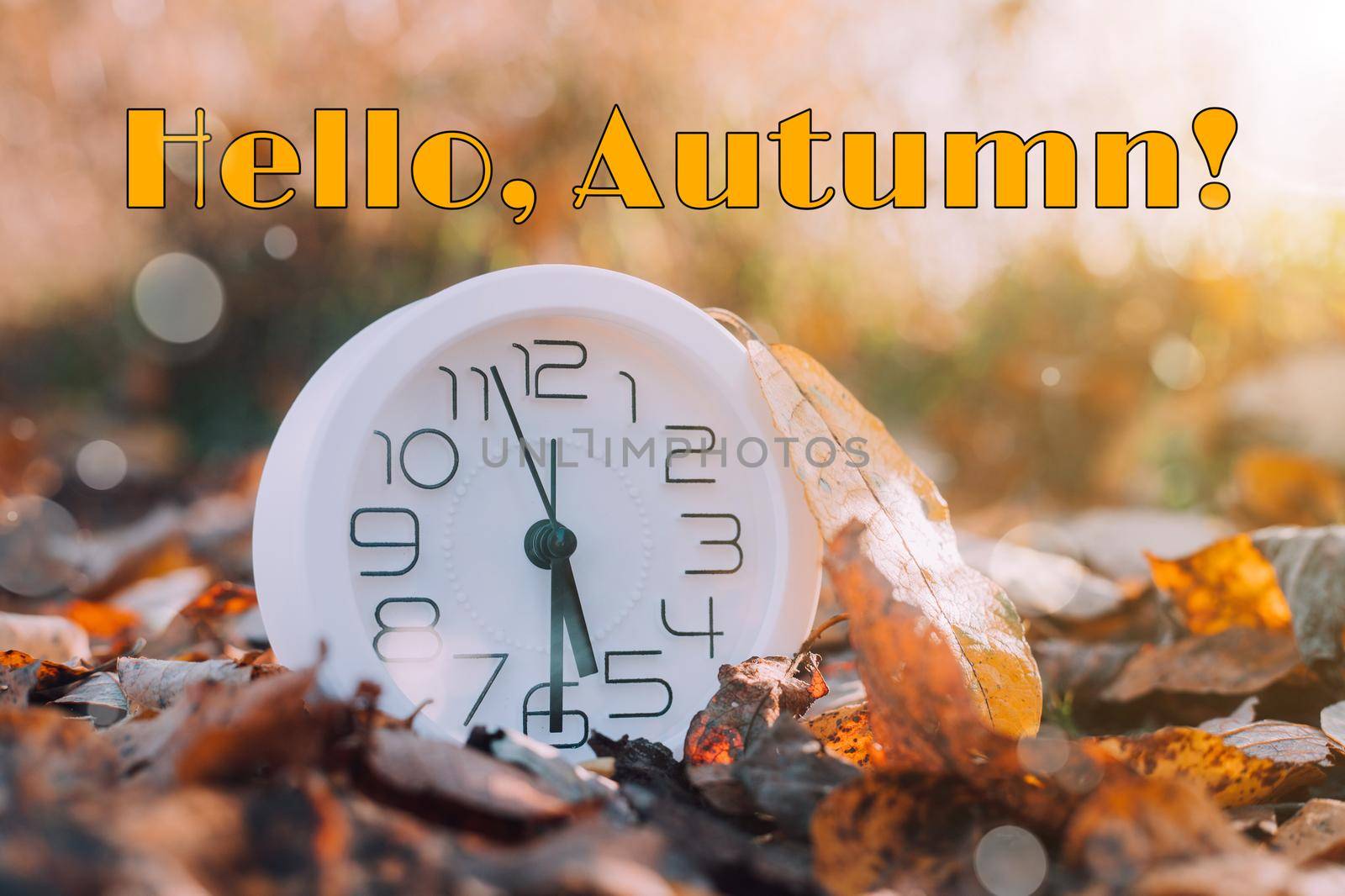 Banner hello autumn . A new season. Welcome card. September October November. Watch. It's autumn time. Autumn leaves. by alenka2194
