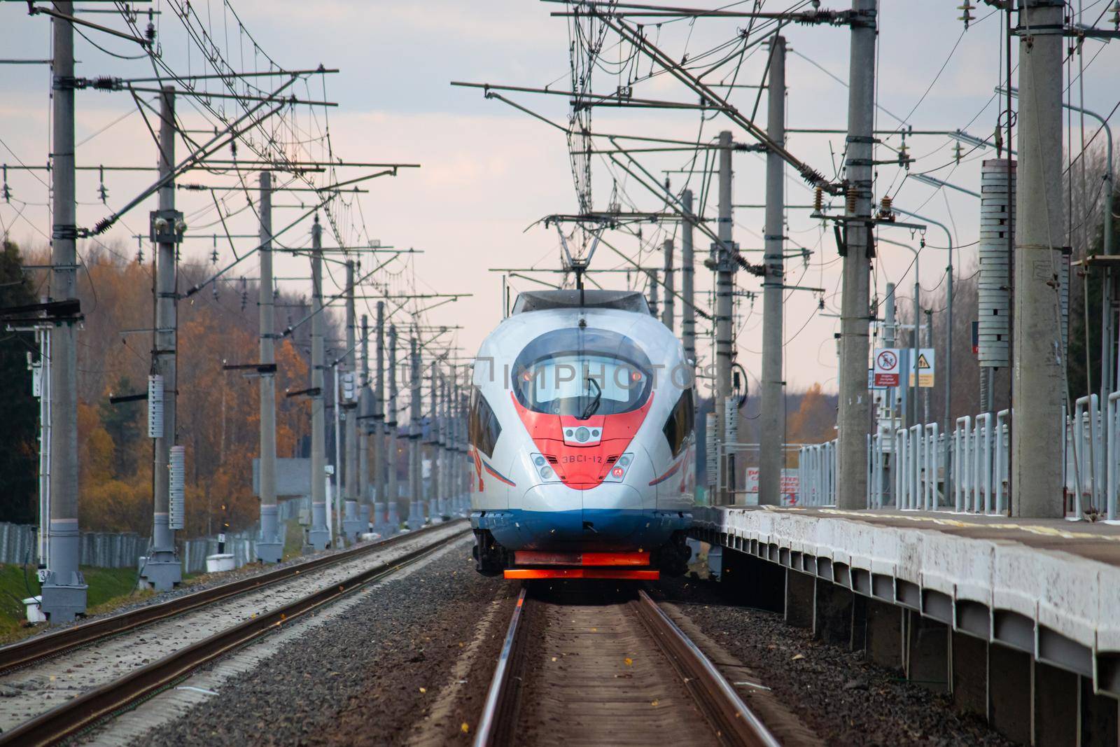 High - speed train sapsan in autumn . An article about high-speed trains. Lyuban, Russia, October 11, 2021 by alenka2194