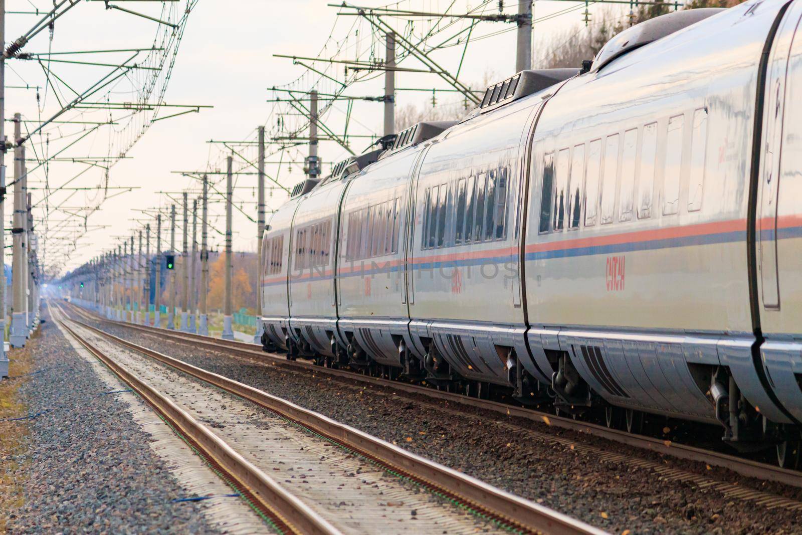 High - speed train sapsan in autumn . An article about high-speed trains. Lyuban, Russia, October 11, 2021 by alenka2194