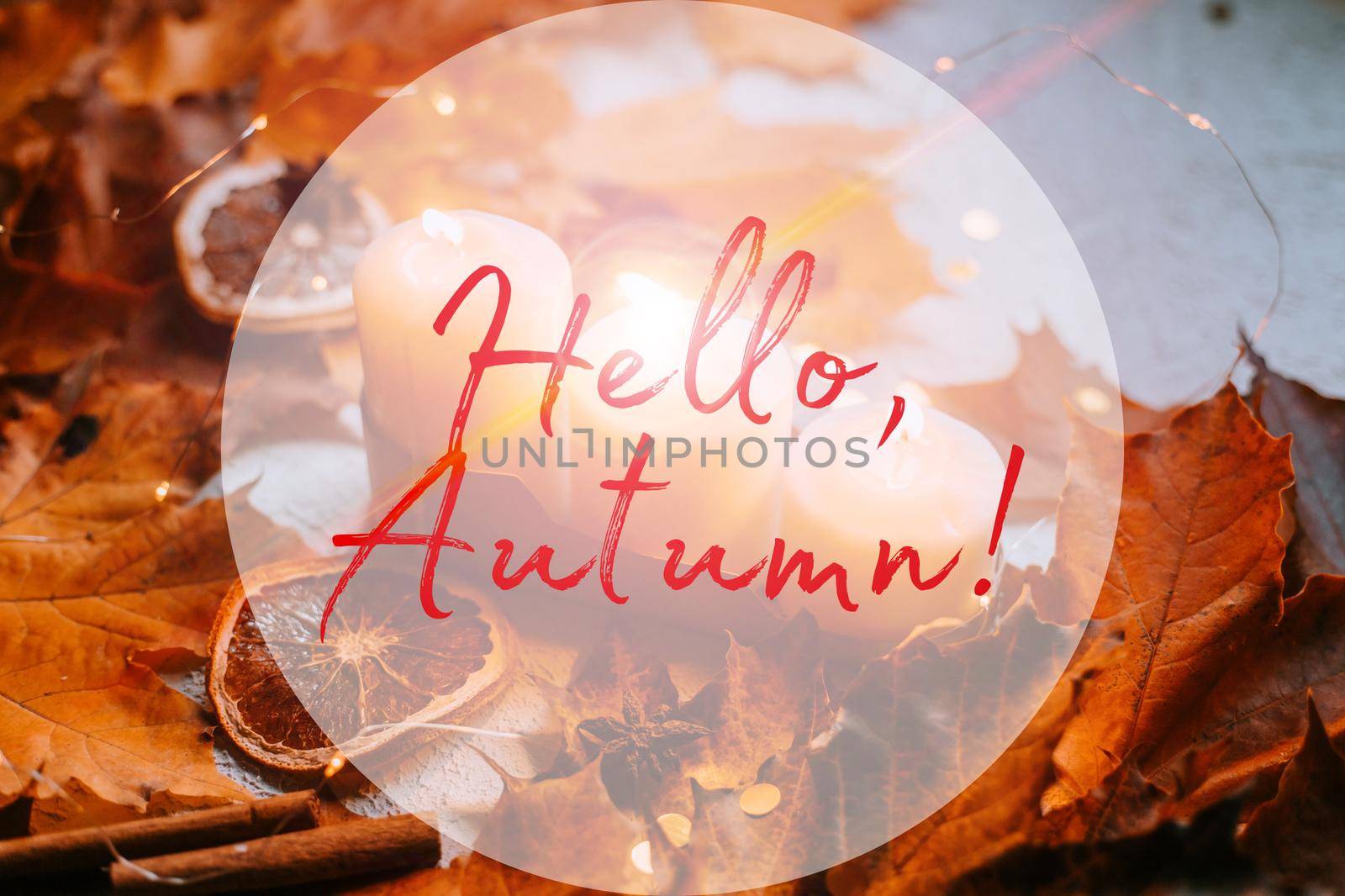 Banner hello autumn . cozy vibes . A new season. Autumn leaves. An article about autumn. by alenka2194