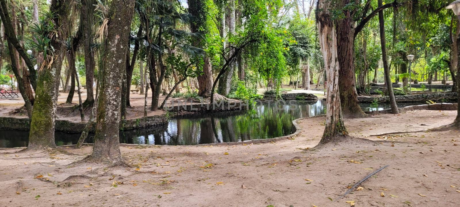 Natural Park of Princess Pindamonhangaba in the countryside of Brazil, lake with forest and natural beauty