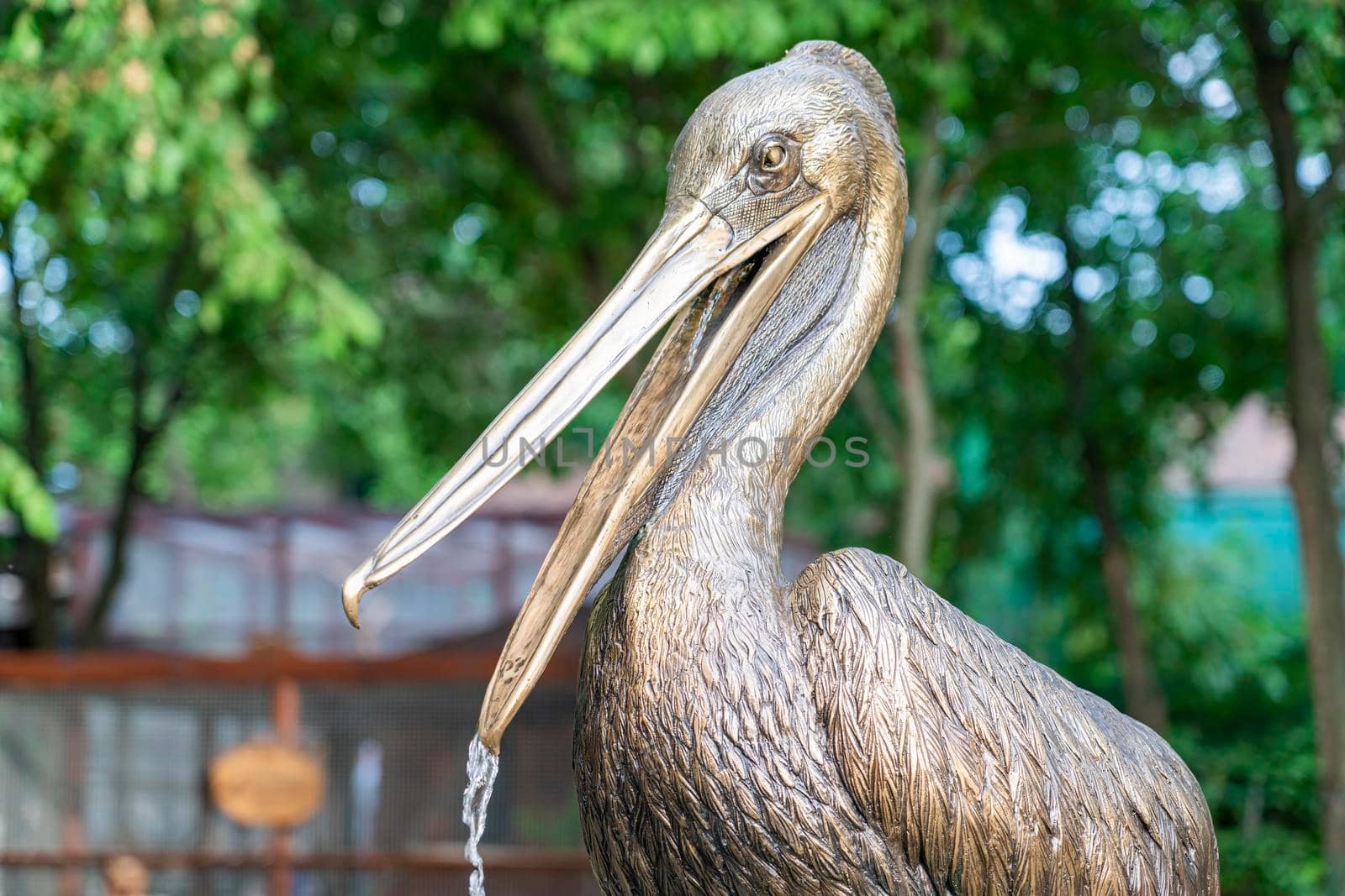 pelican sculpture in the form of a fountain. photo