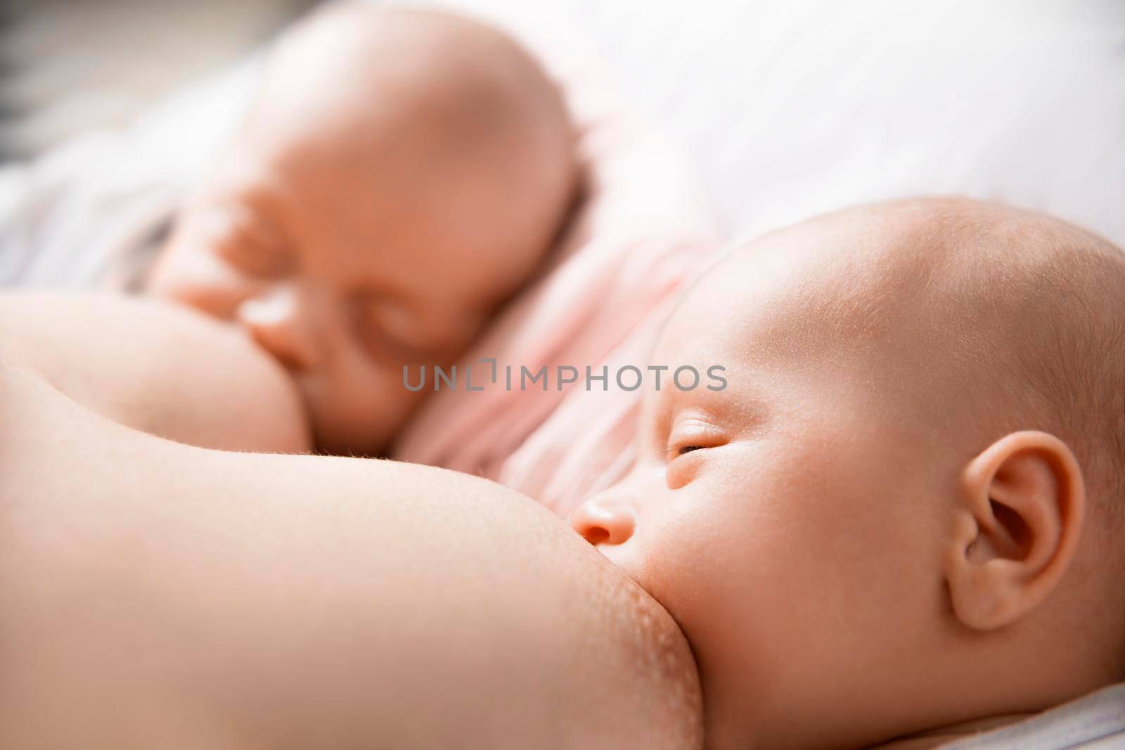 Two little twin suck the mother's breast