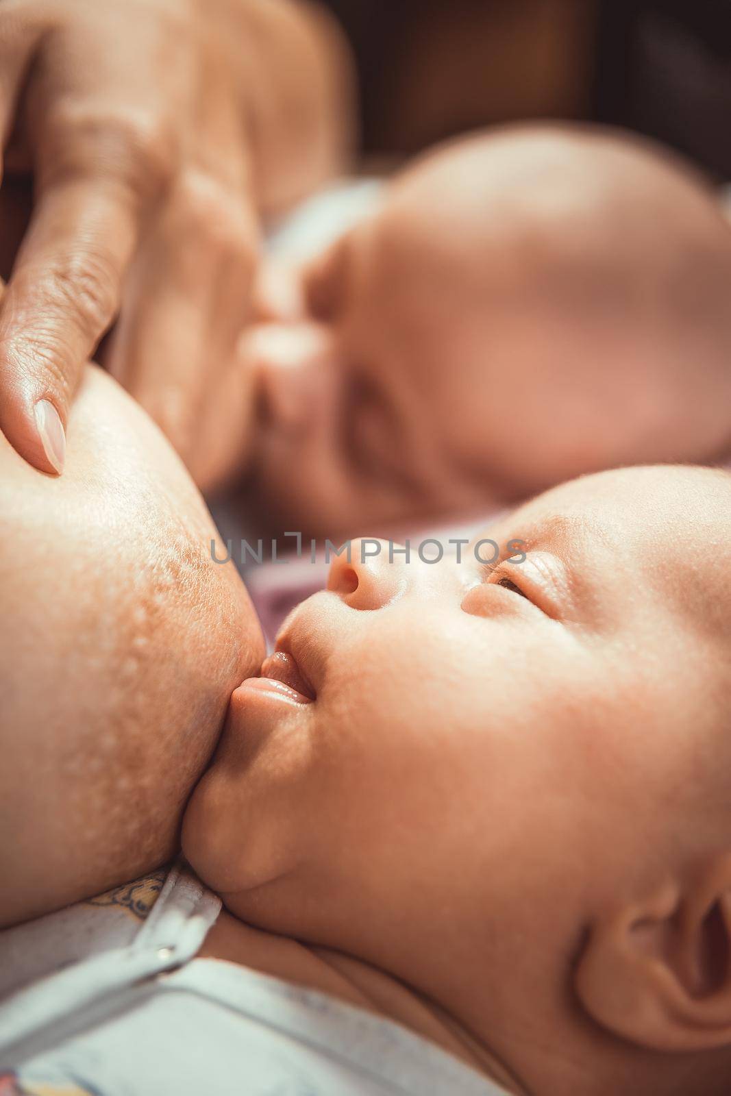 Two little twin suck the mother&#39;s breast