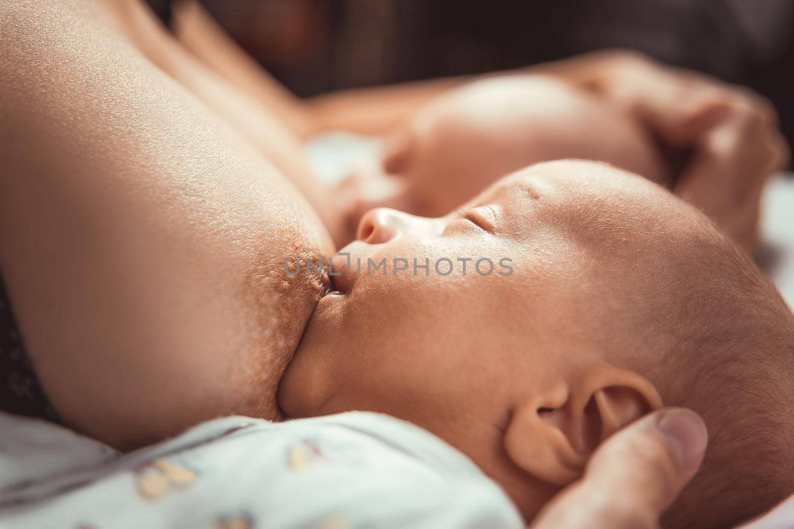 Two little twin suck the mother&#39;s breast