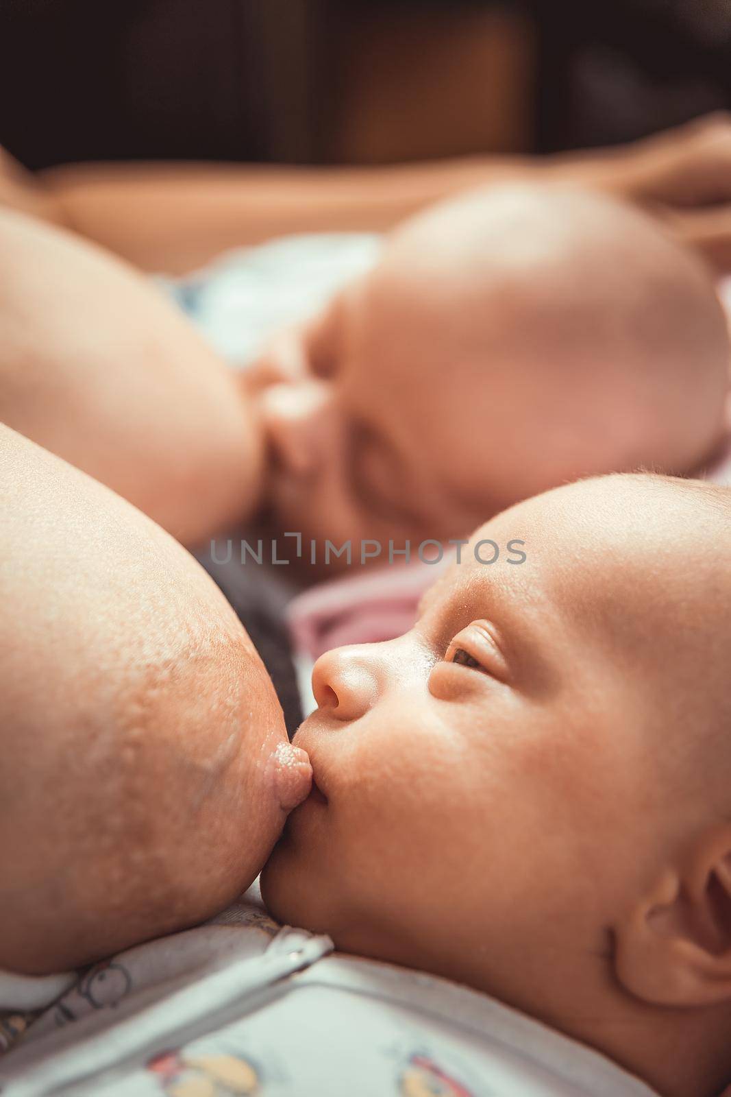 Two little twin suck the mother&#39;s breast