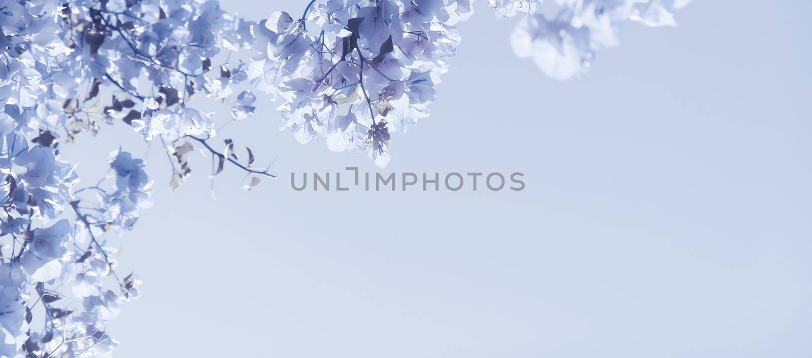 Blue floral composition by Anneleven