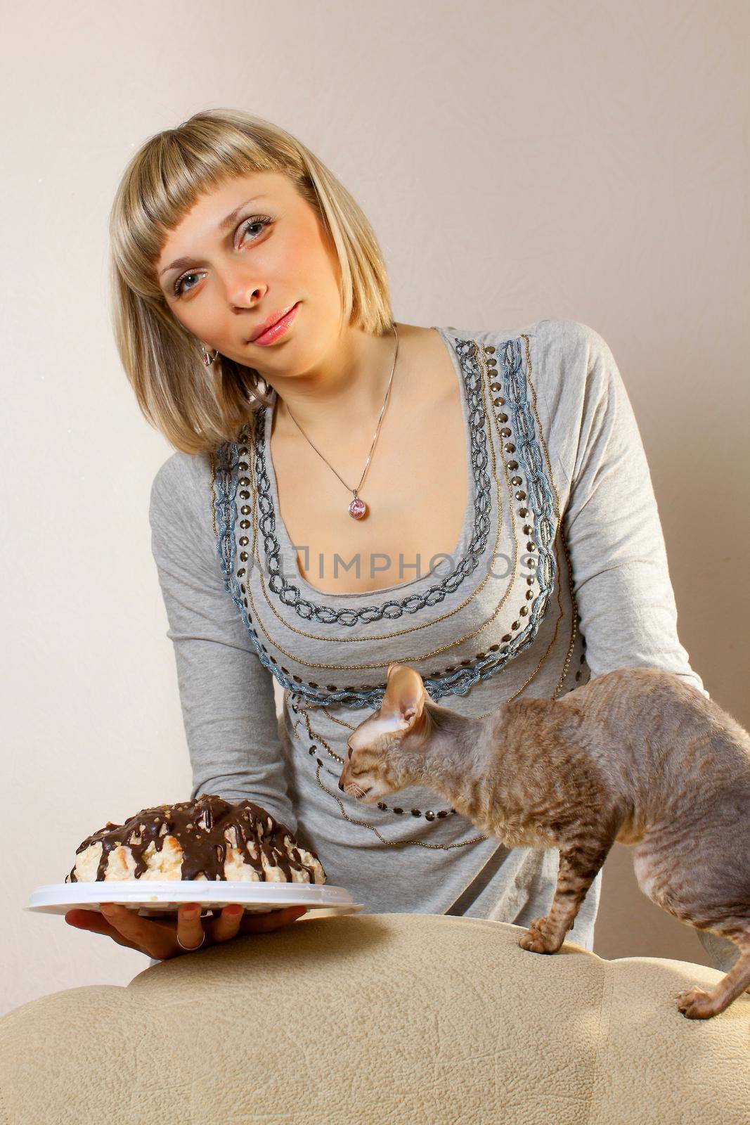 Girl weeds the cat cornish rex with cake