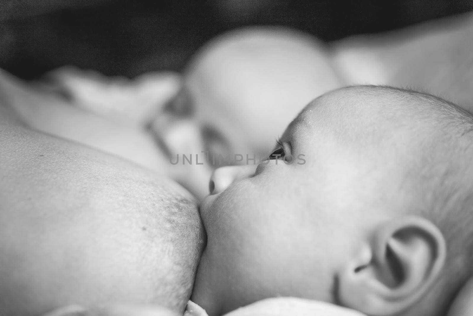 Two little twin suck the mother&#39;s breast