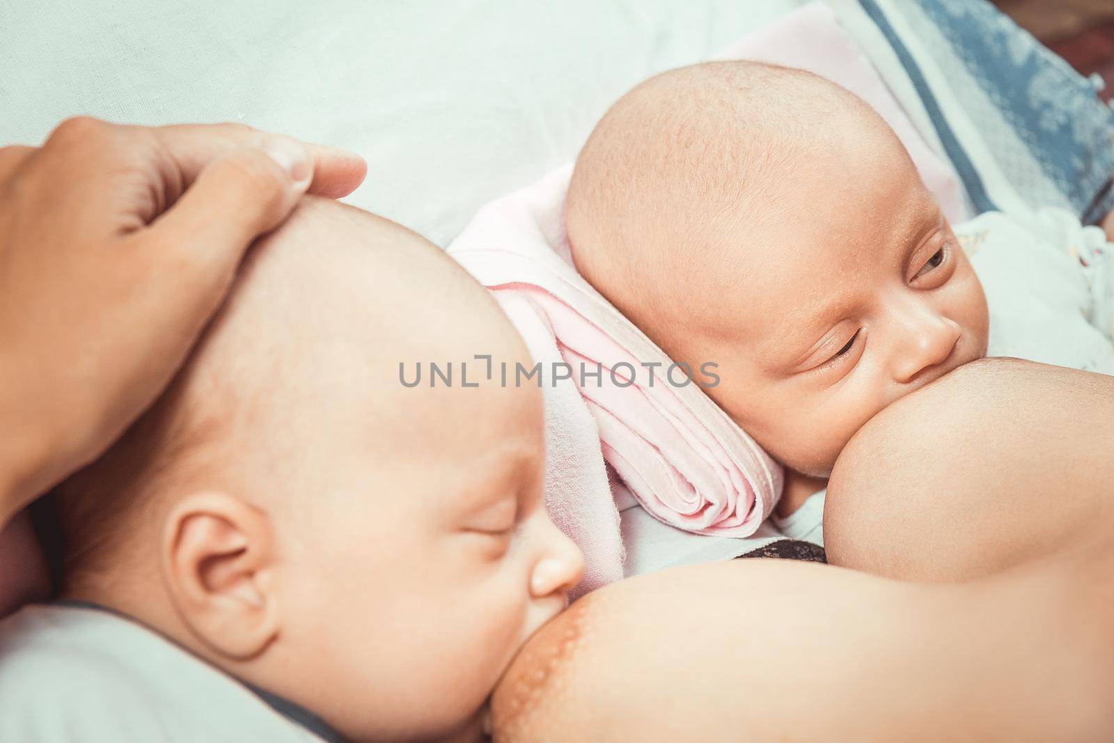 Two little twin suck the mother&#39;s breast