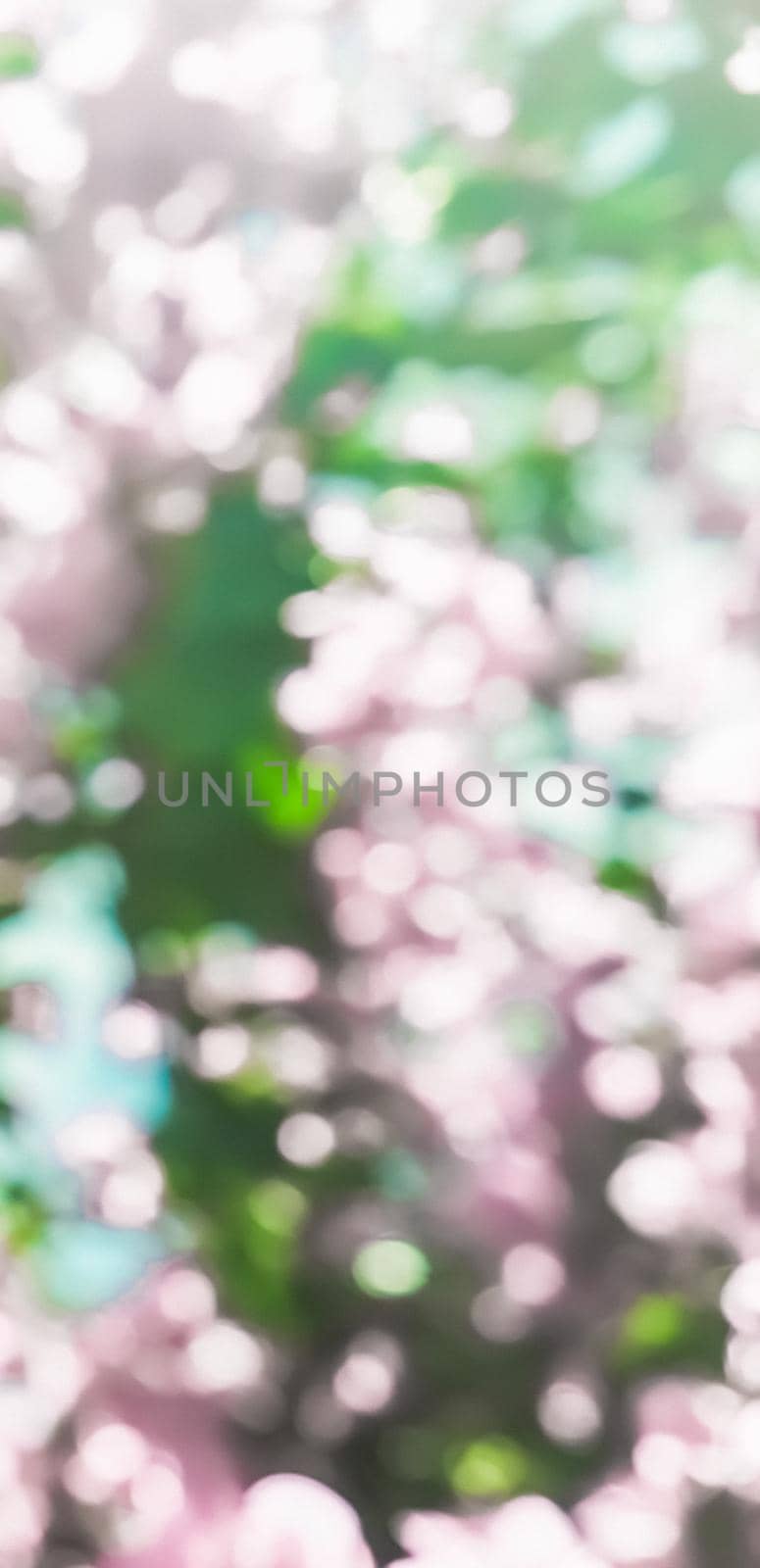 Pastel pink blooming flowers and blue sky in a dream garden, floral background by Anneleven