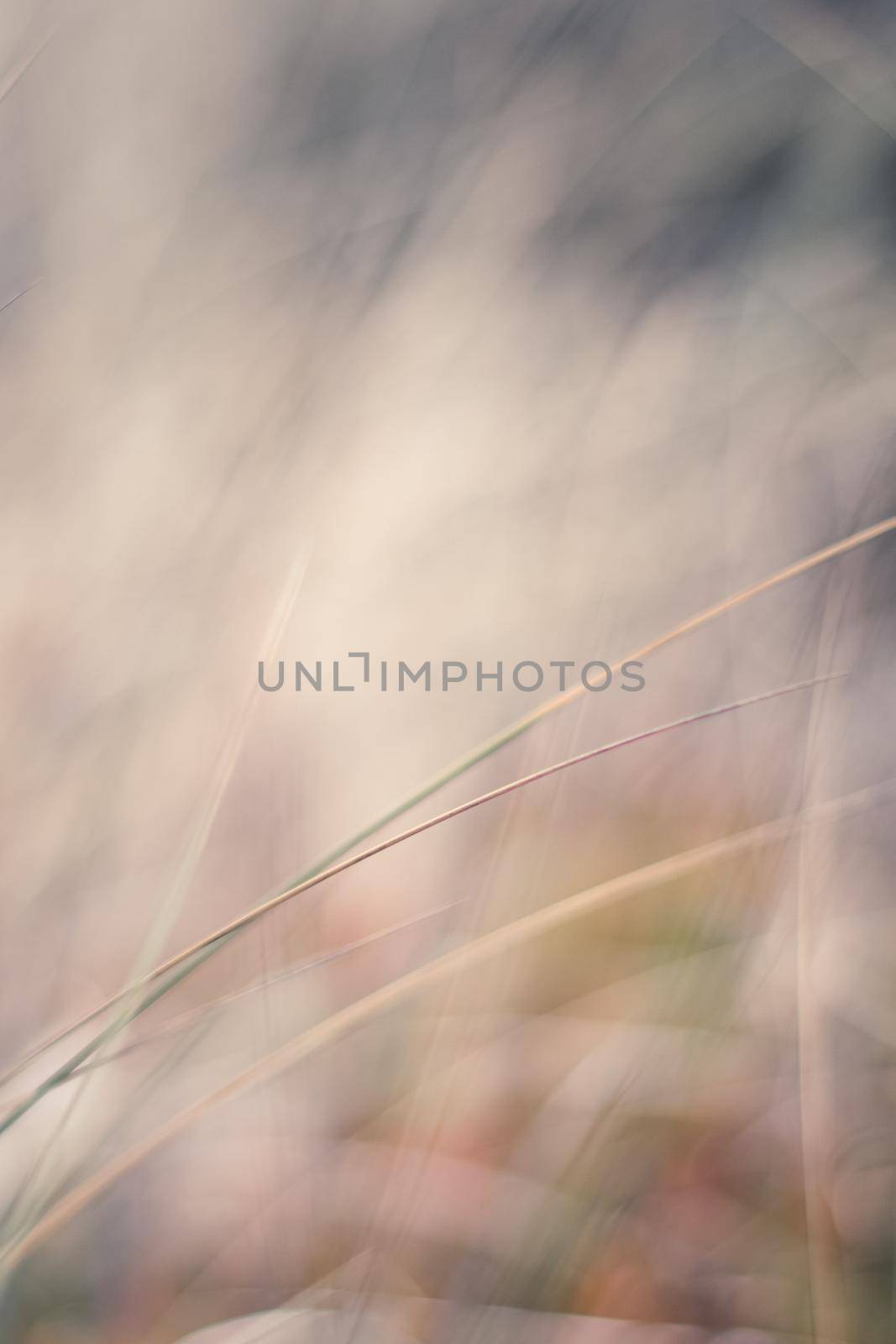 Nature background, environmental and agriculture concept - Rural field, a day in countryside