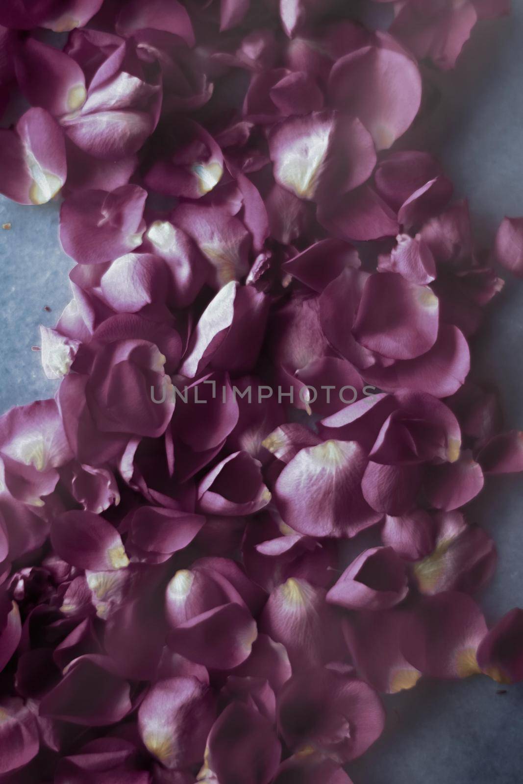 Rose petals on marble stone, floral background by Anneleven