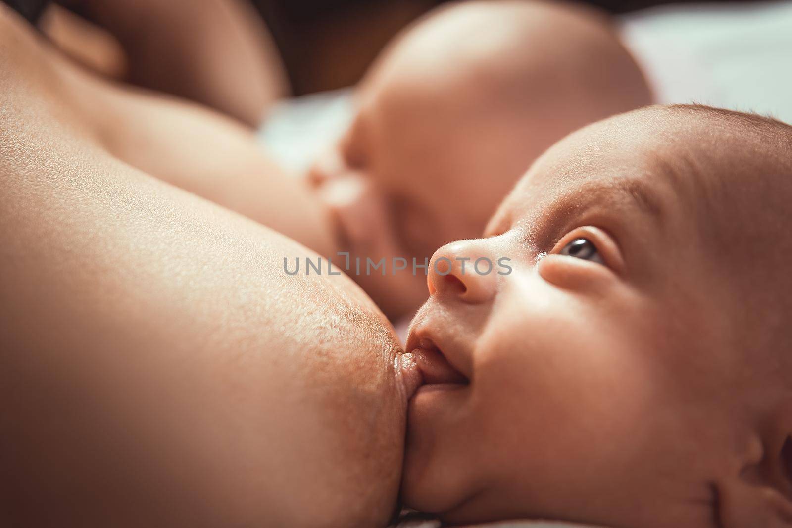 Two little twin suck the mother&#39;s breast