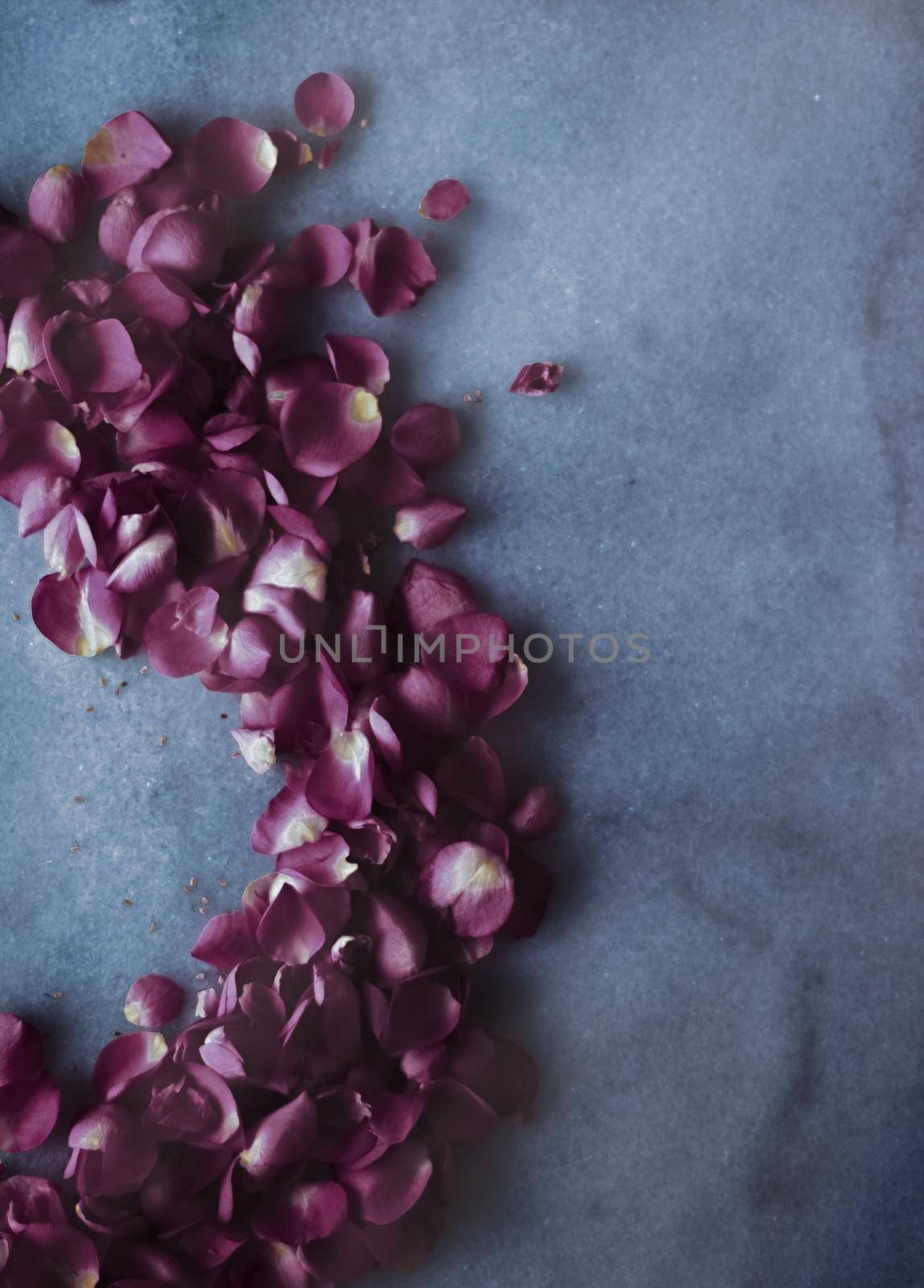 Rose petals on marble stone, floral background by Anneleven