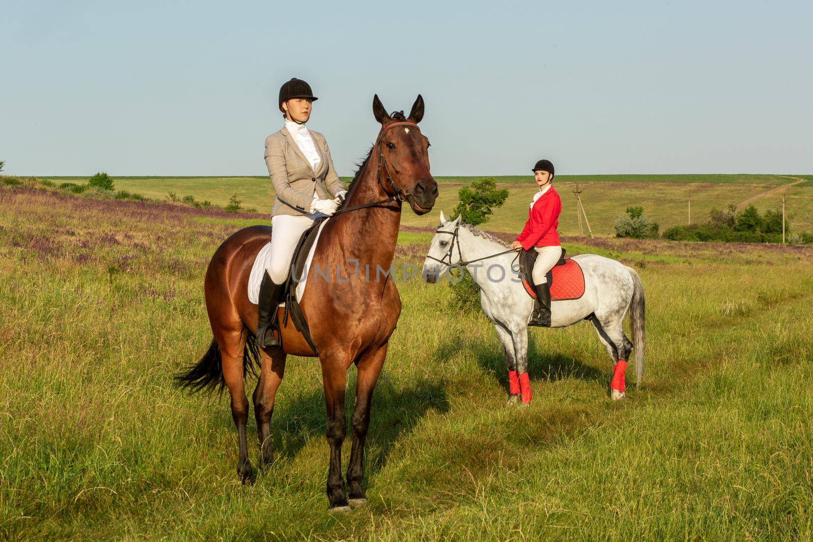 Horseback riders. Two attractive women ride horses on a green meadow. Horse riding. Horse racing. Rider on a horse.